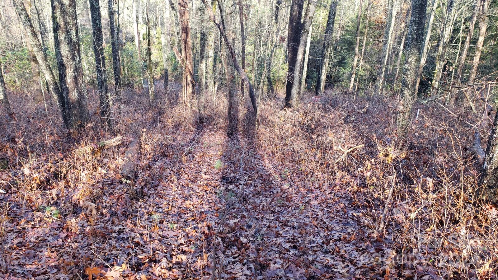 Tbd Cedar Lane Property Photo 10