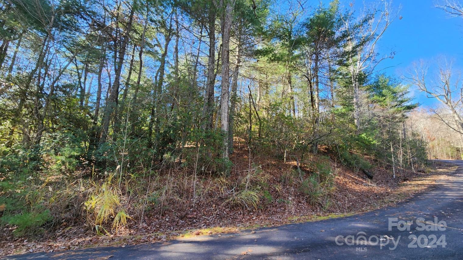 9999 Old Chestnut Lane 1 Property Photo 12