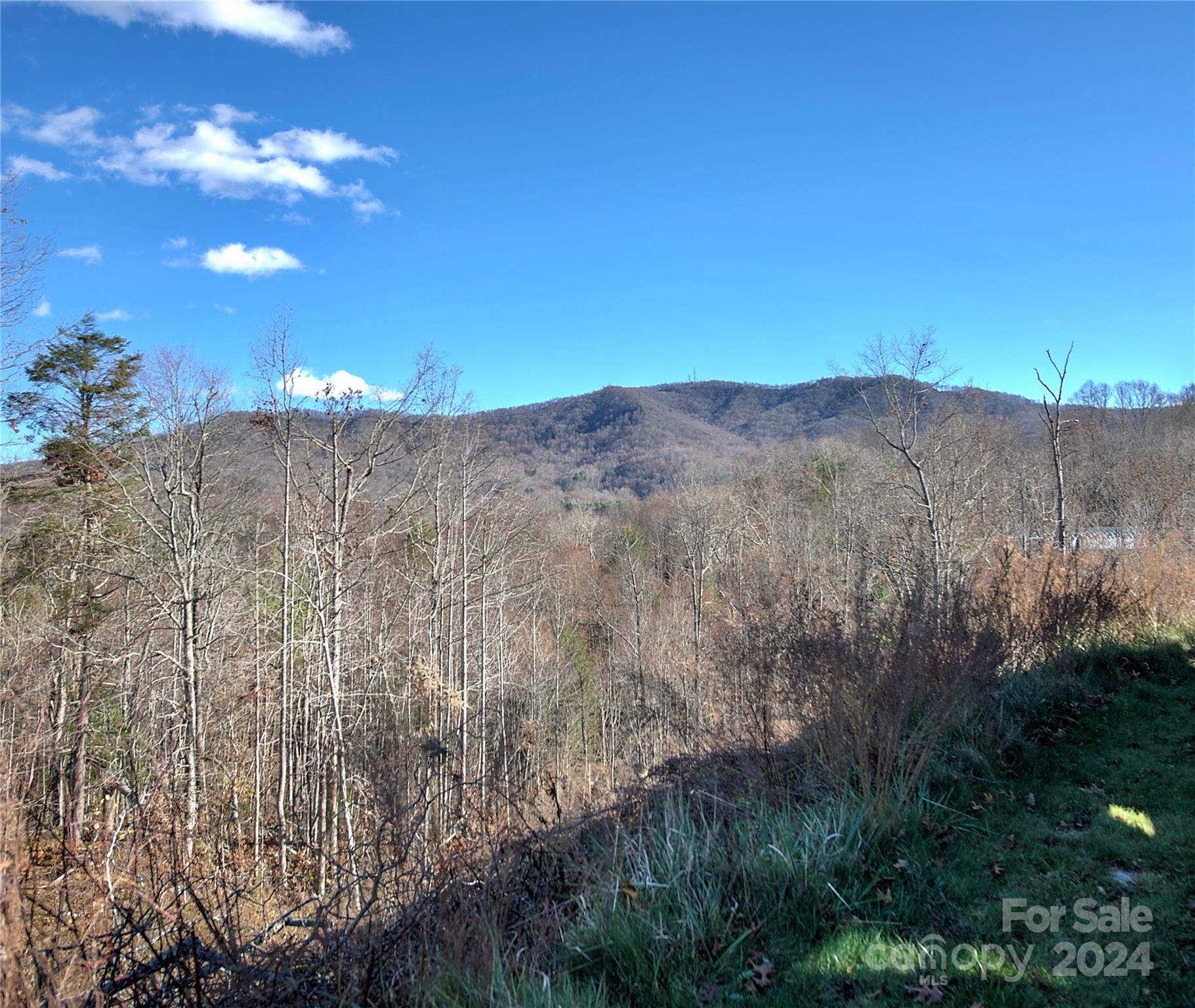0 Arrowhead Ridge Road Property Photo 10