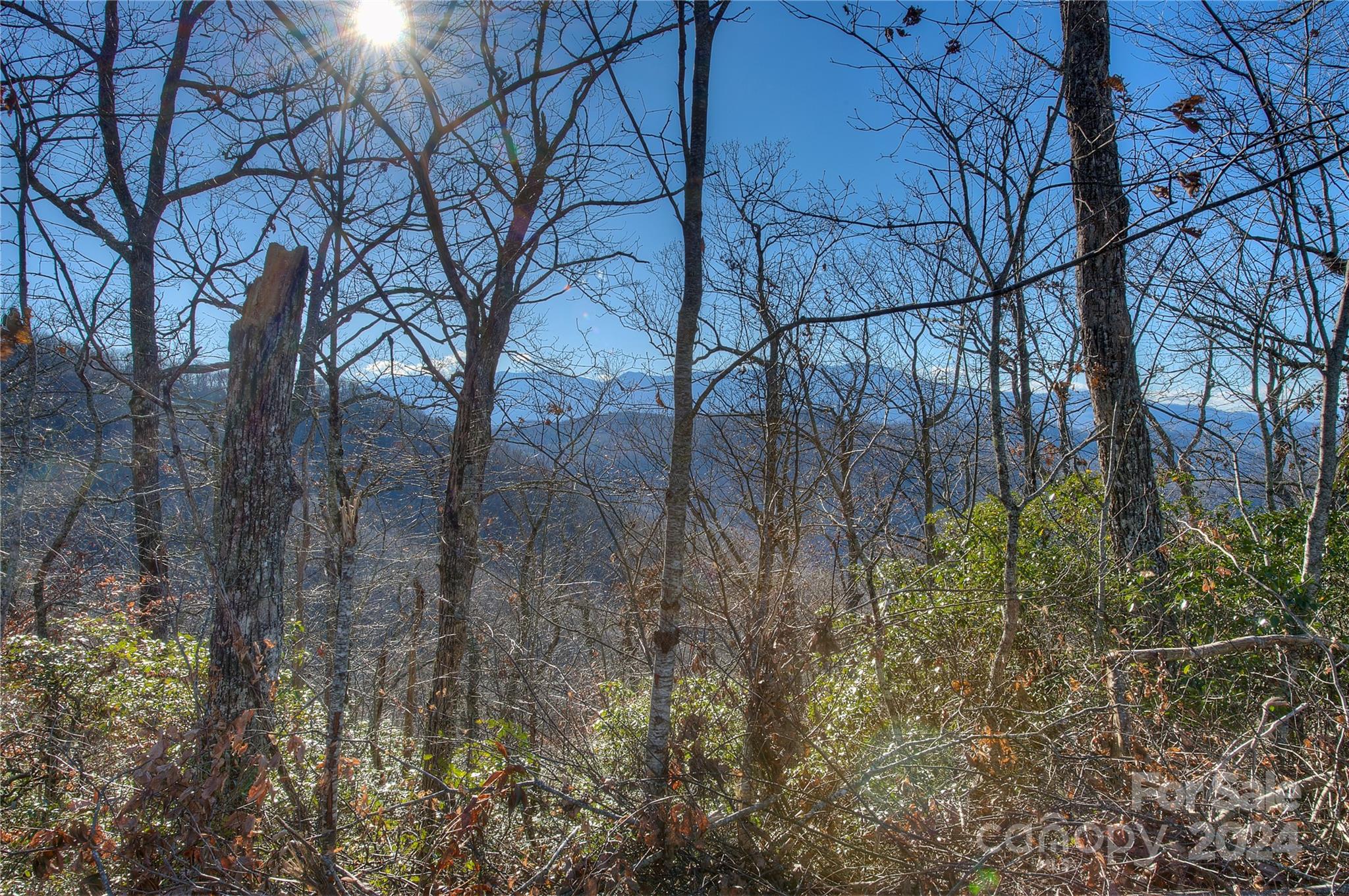 0 Arrowhead Ridge Road Property Photo 12