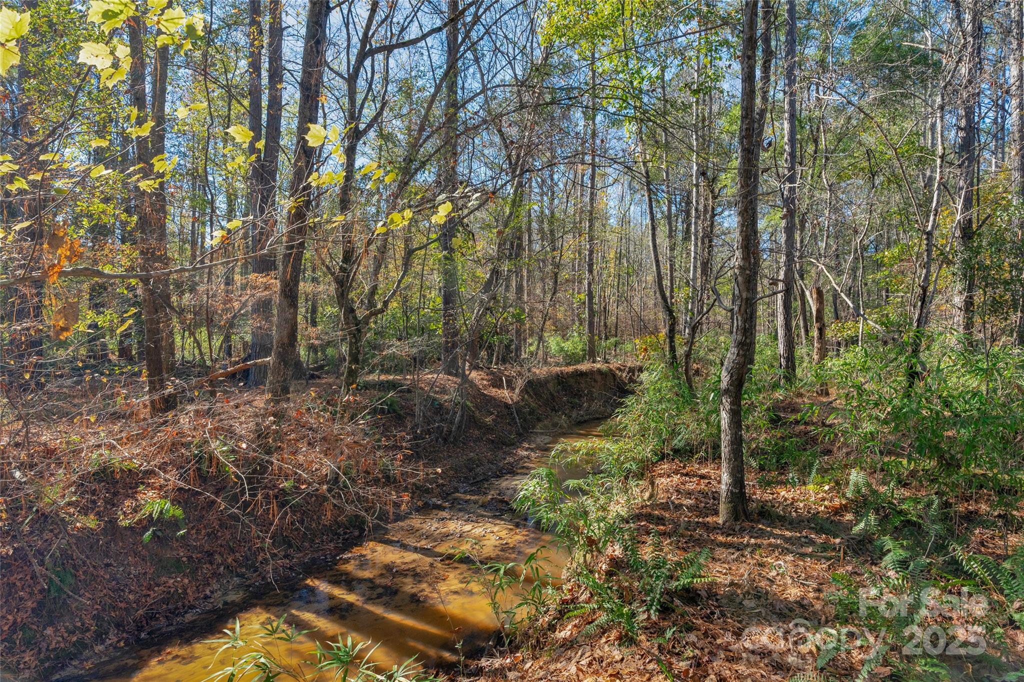 0000 Beaker Road 6 Property Photo 3