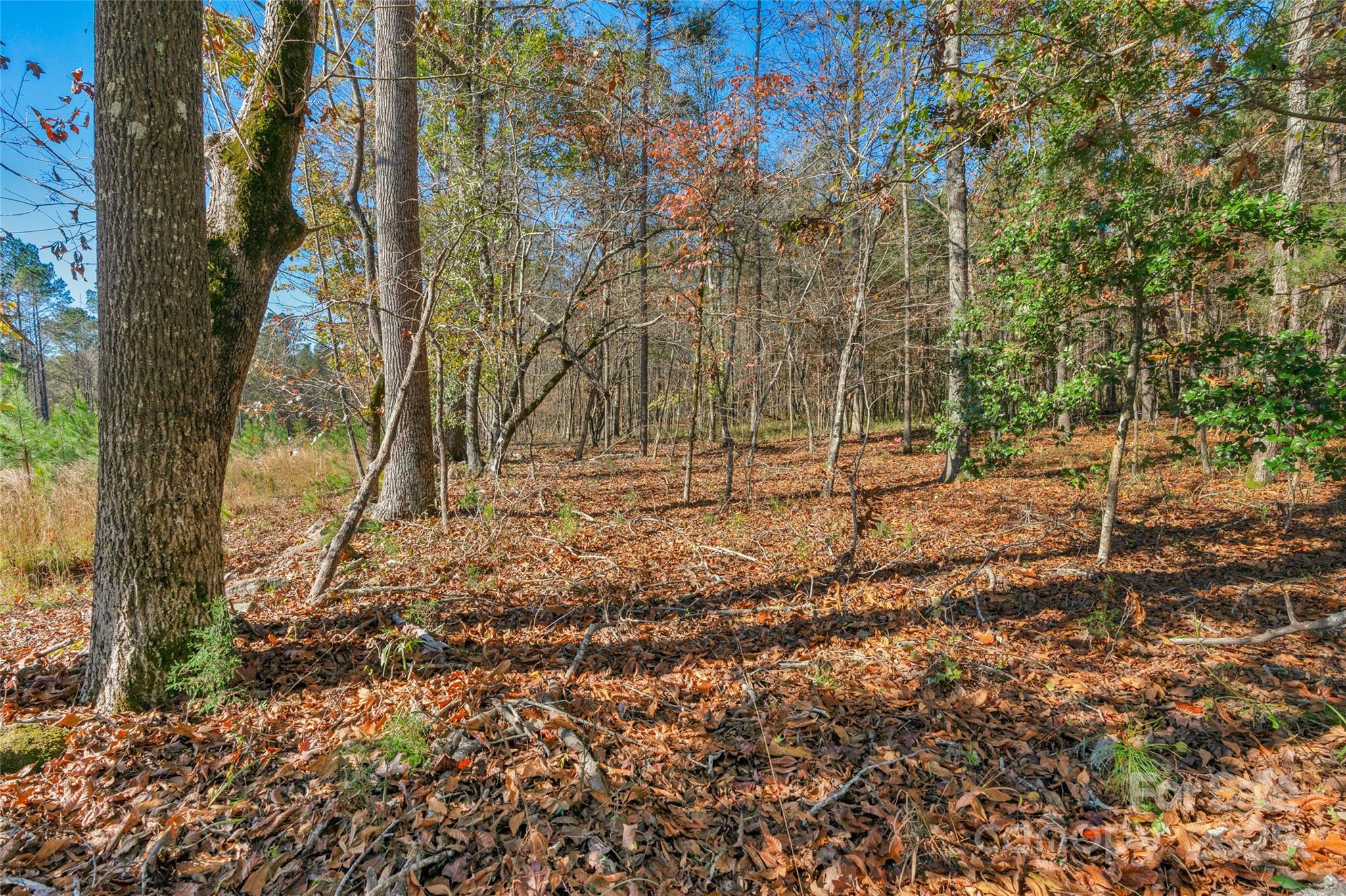 0000 Beaker Road 6 Property Photo 4