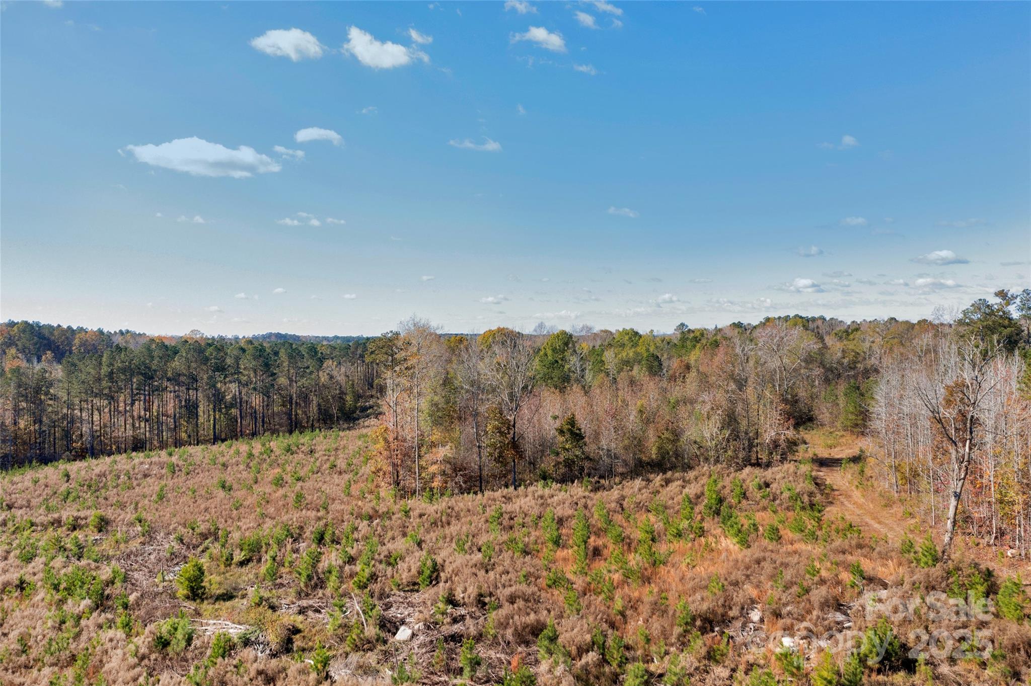 0000 Beaker Road 6 Property Photo 6