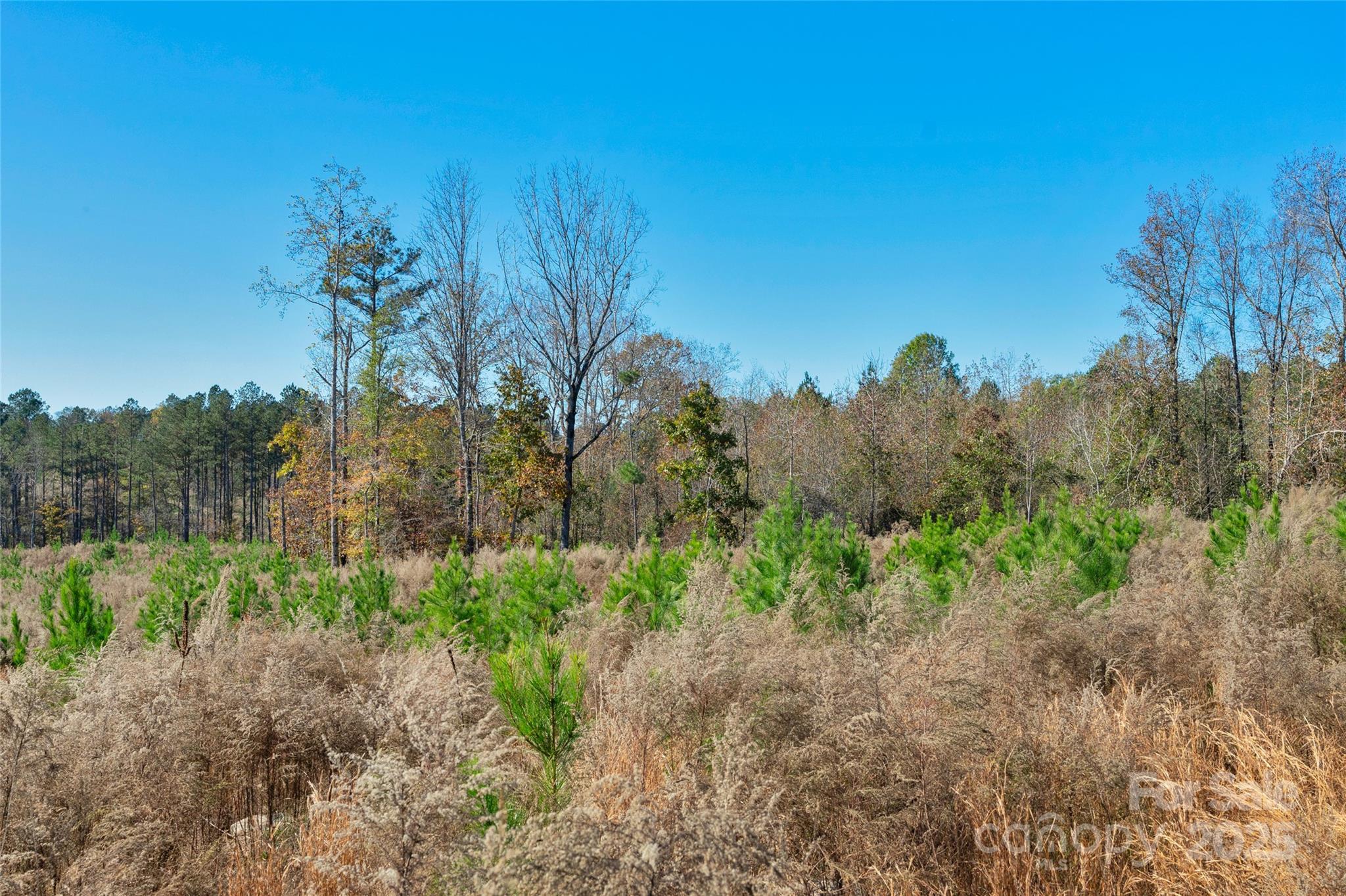 0000 Beaker Road 6 Property Photo 11