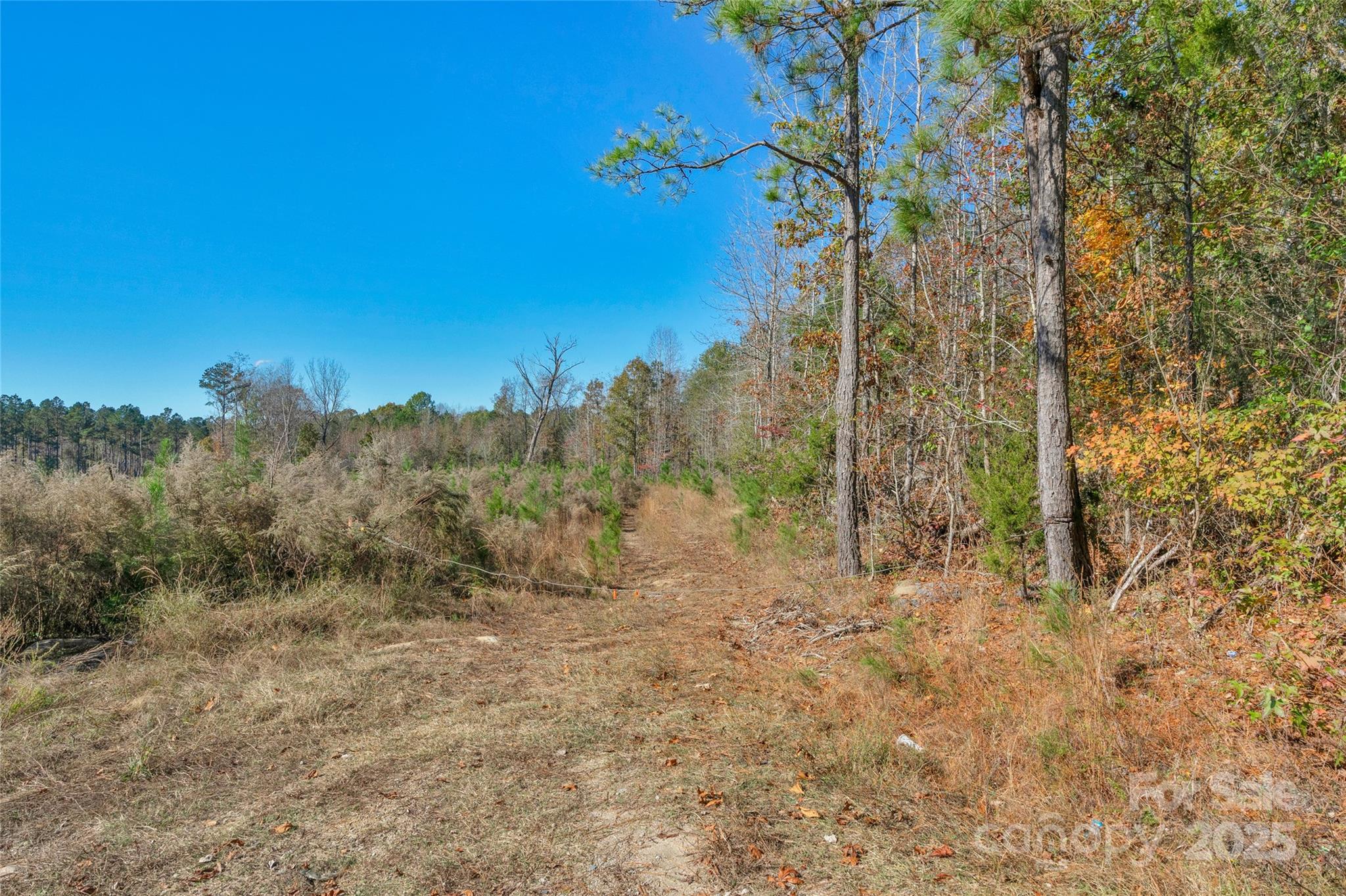 0000 Beaker Road 6 Property Photo 14