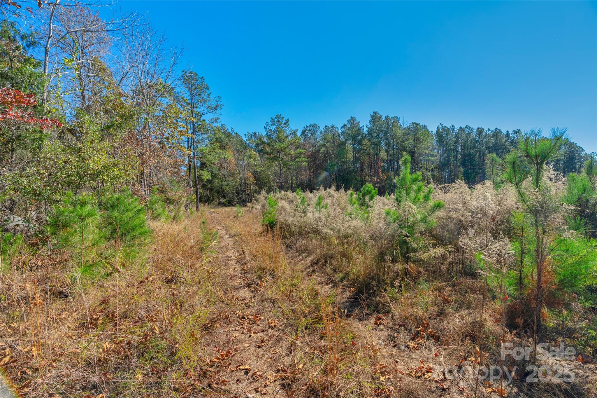 0000 Beaker Road 6 Property Photo 15