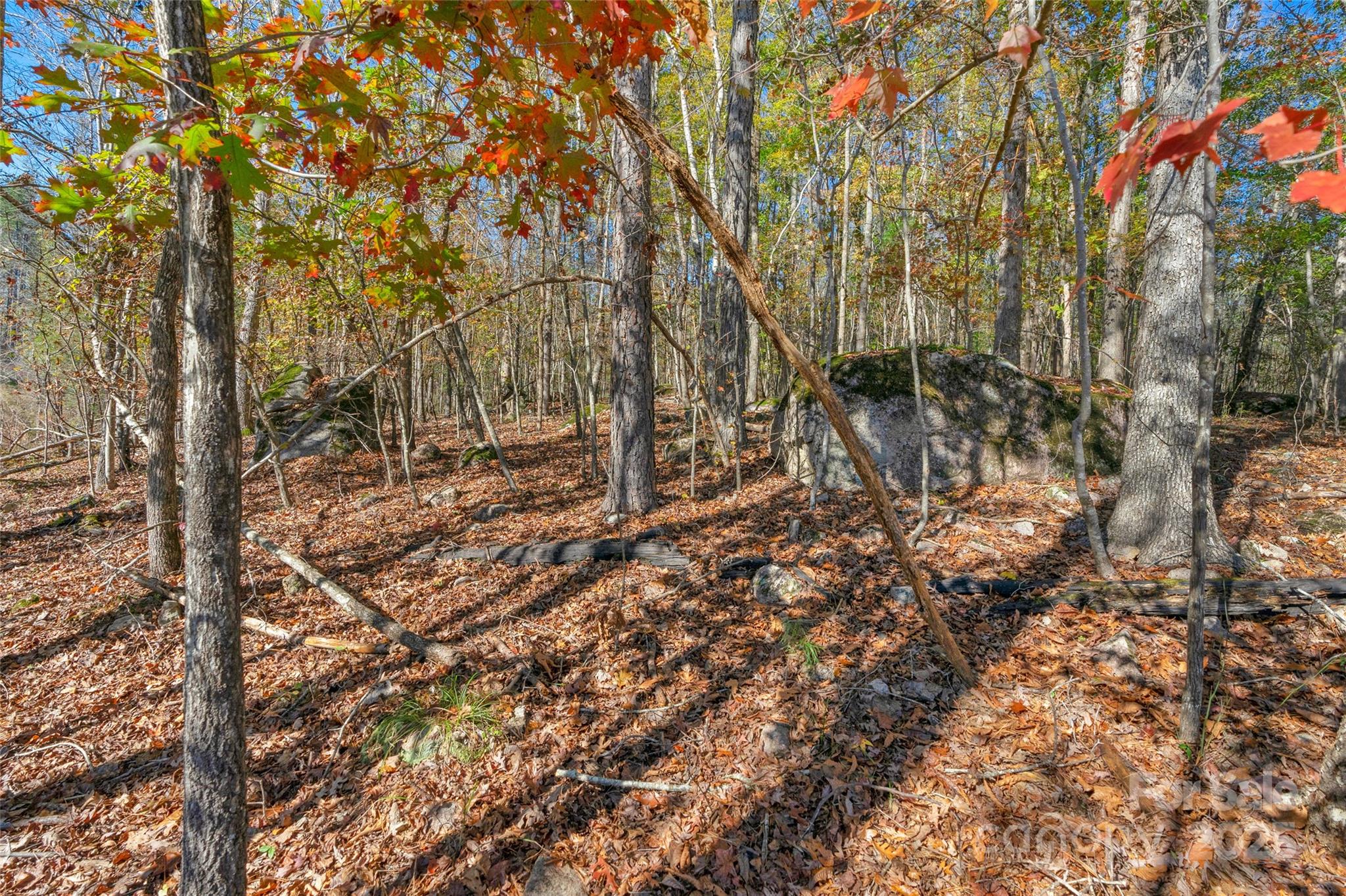 0000 Beaker Road 6 Property Photo 17