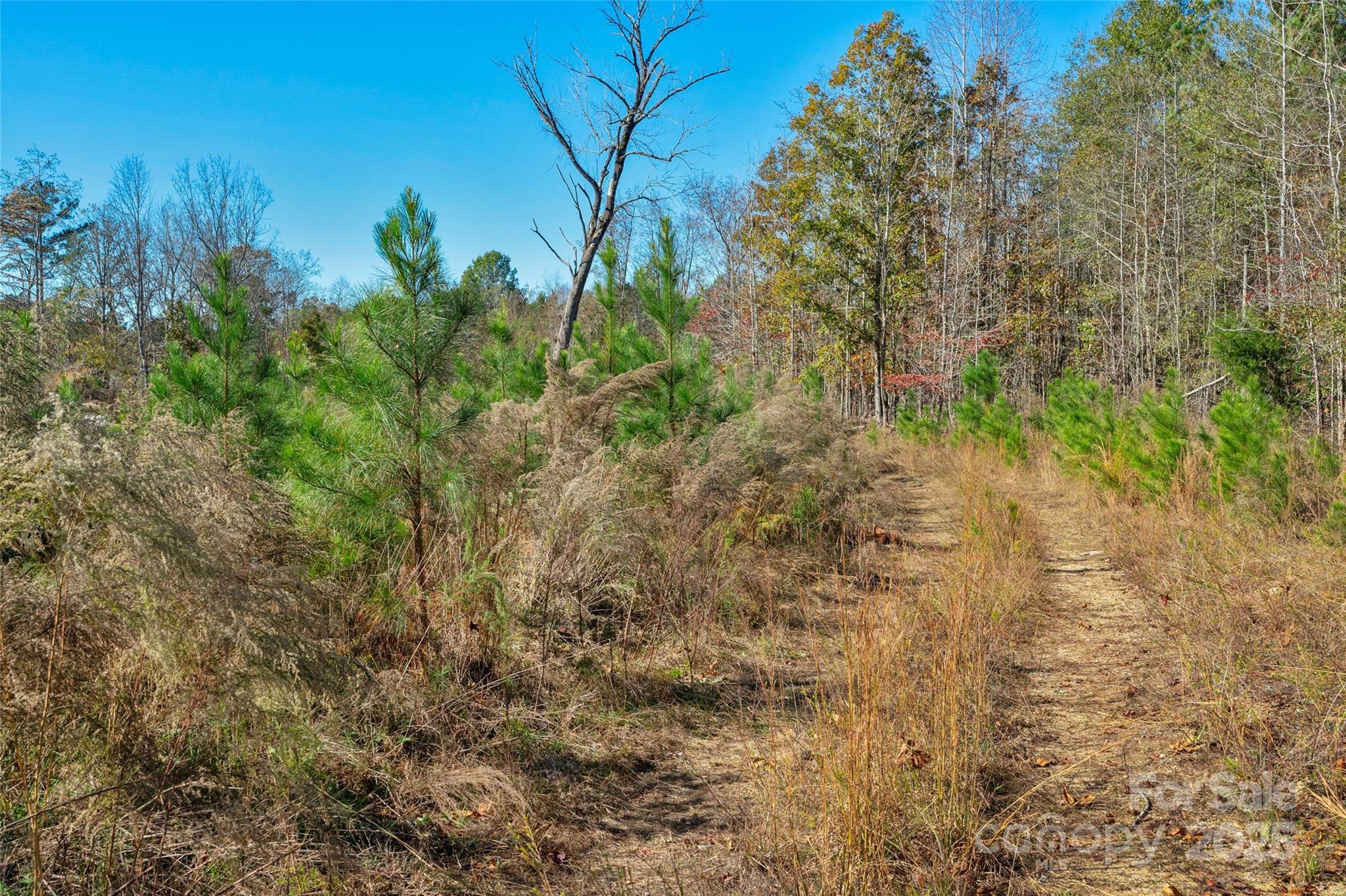 0000 Beaker Road 6 Property Photo 19