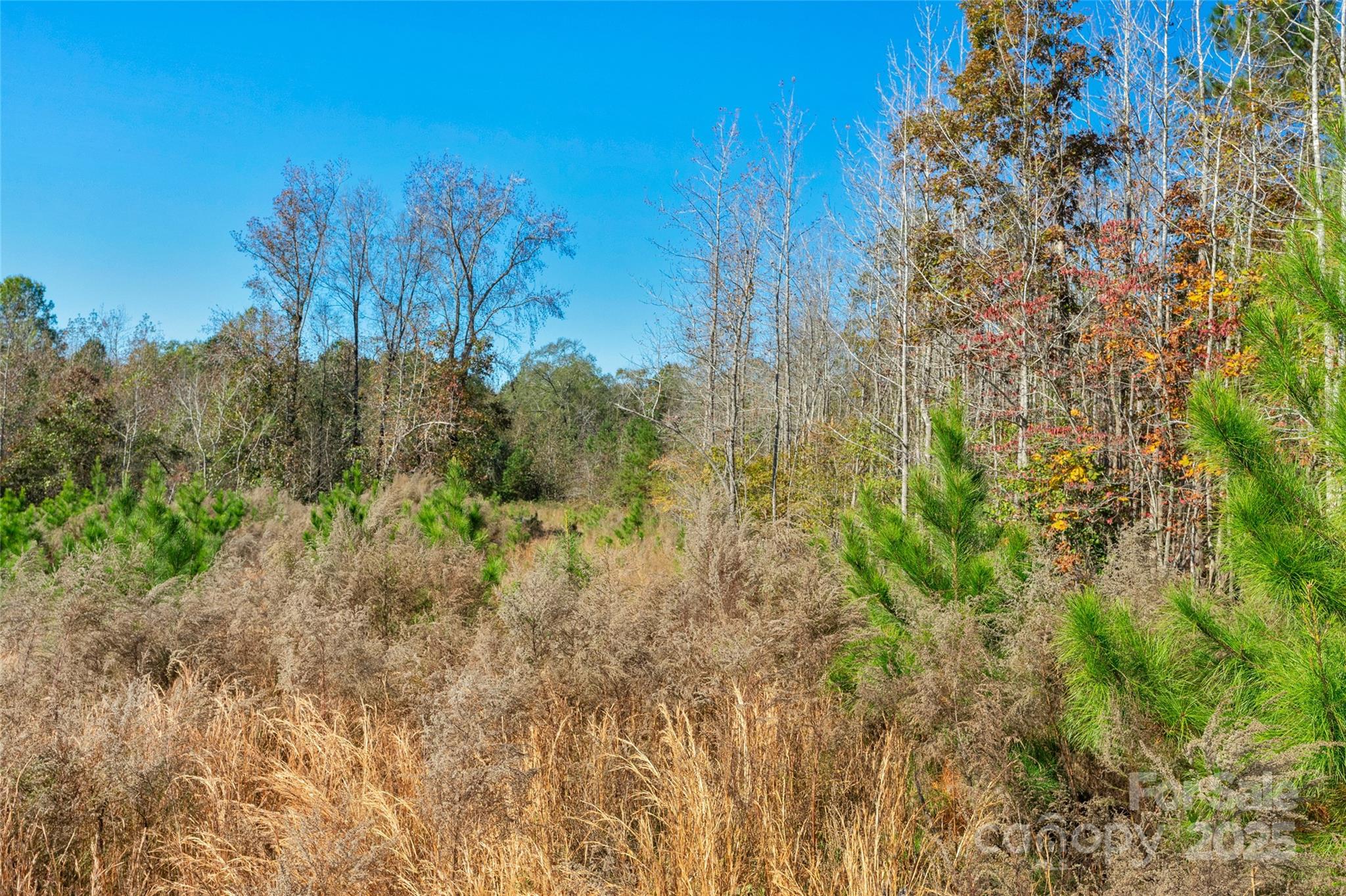 0000 Beaker Road 6 Property Photo 20