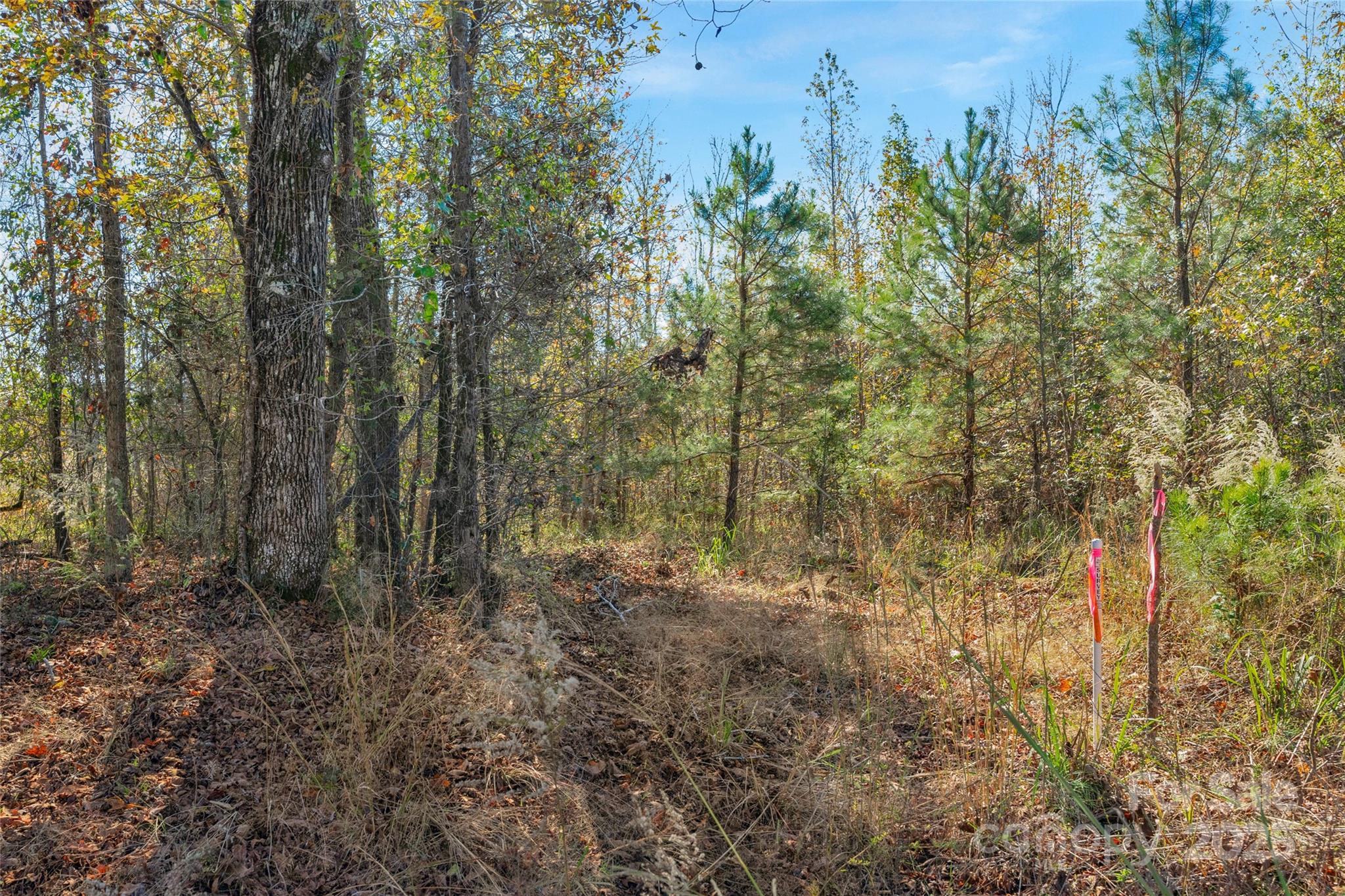0000 Beaker Road 6 Property Photo 24