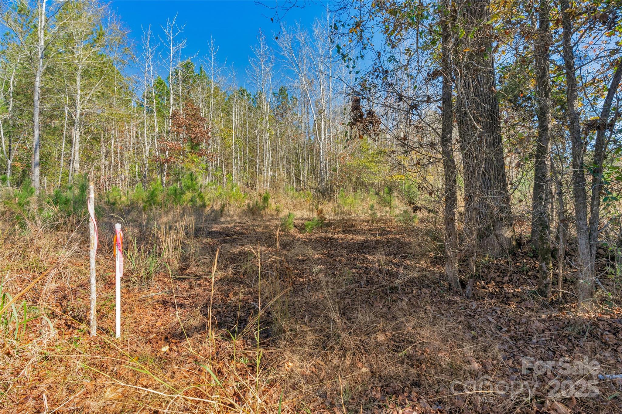 0000 Beaker Road 6 Property Photo 25