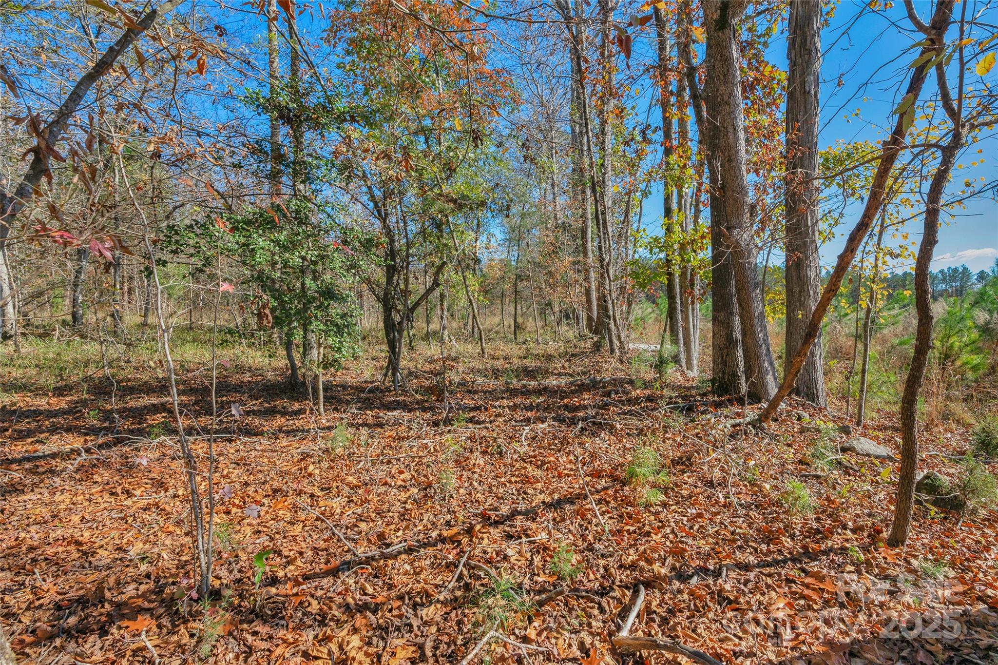 0000 Beaker Road 6 Property Photo 26