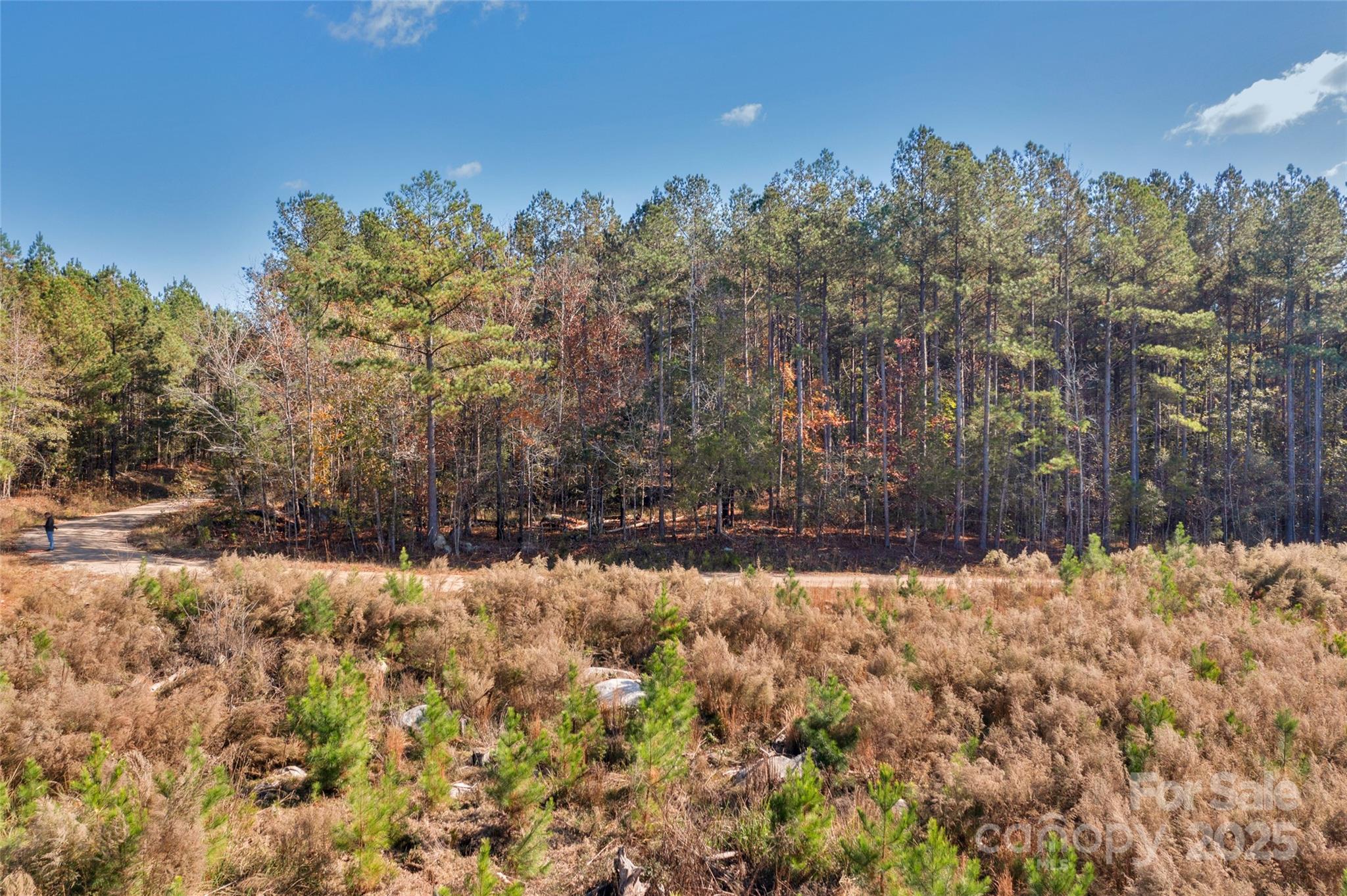 0000 Beaker Road 6 Property Photo 39