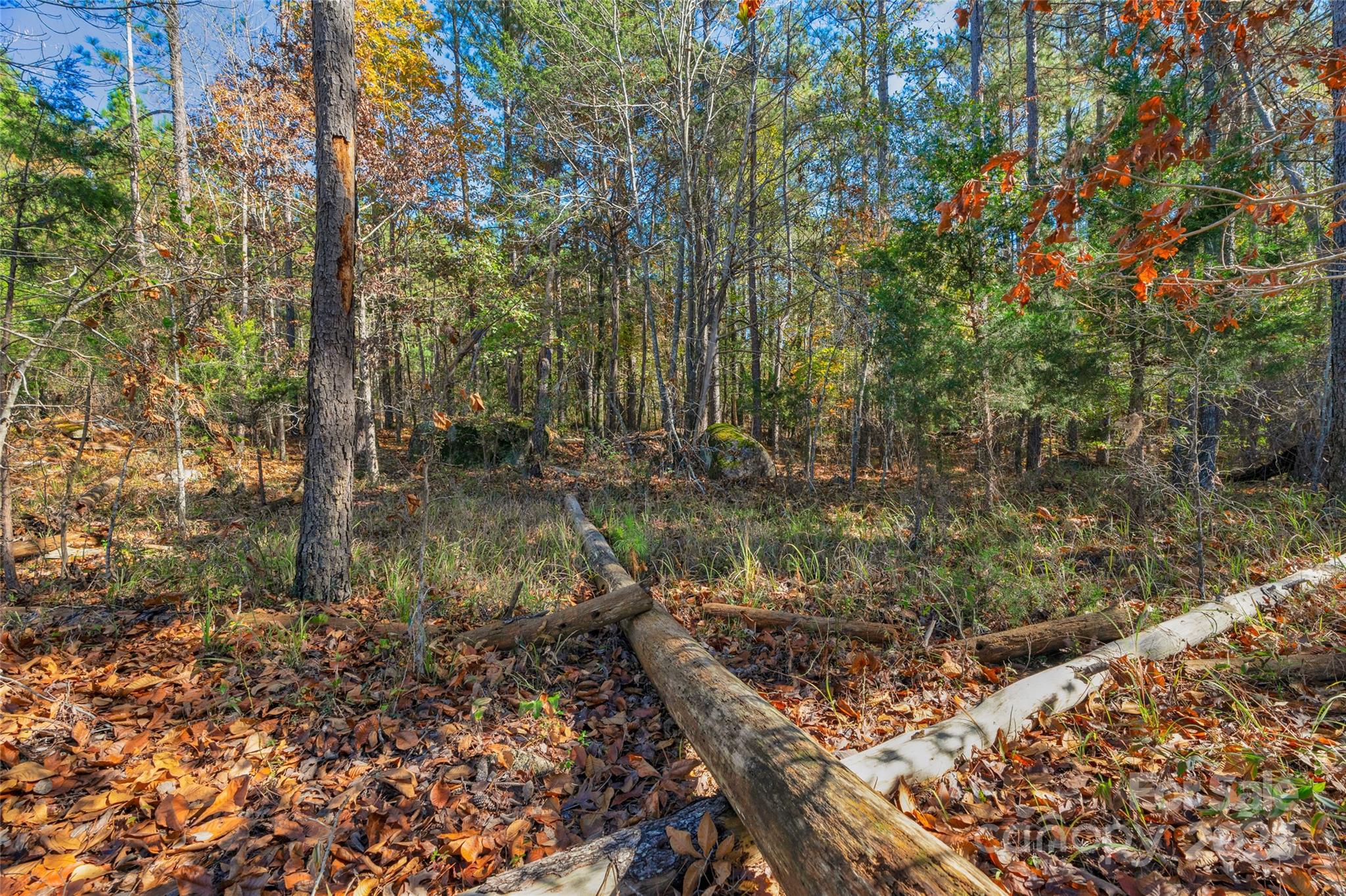 0000 Beaker Road 6 Property Photo 41
