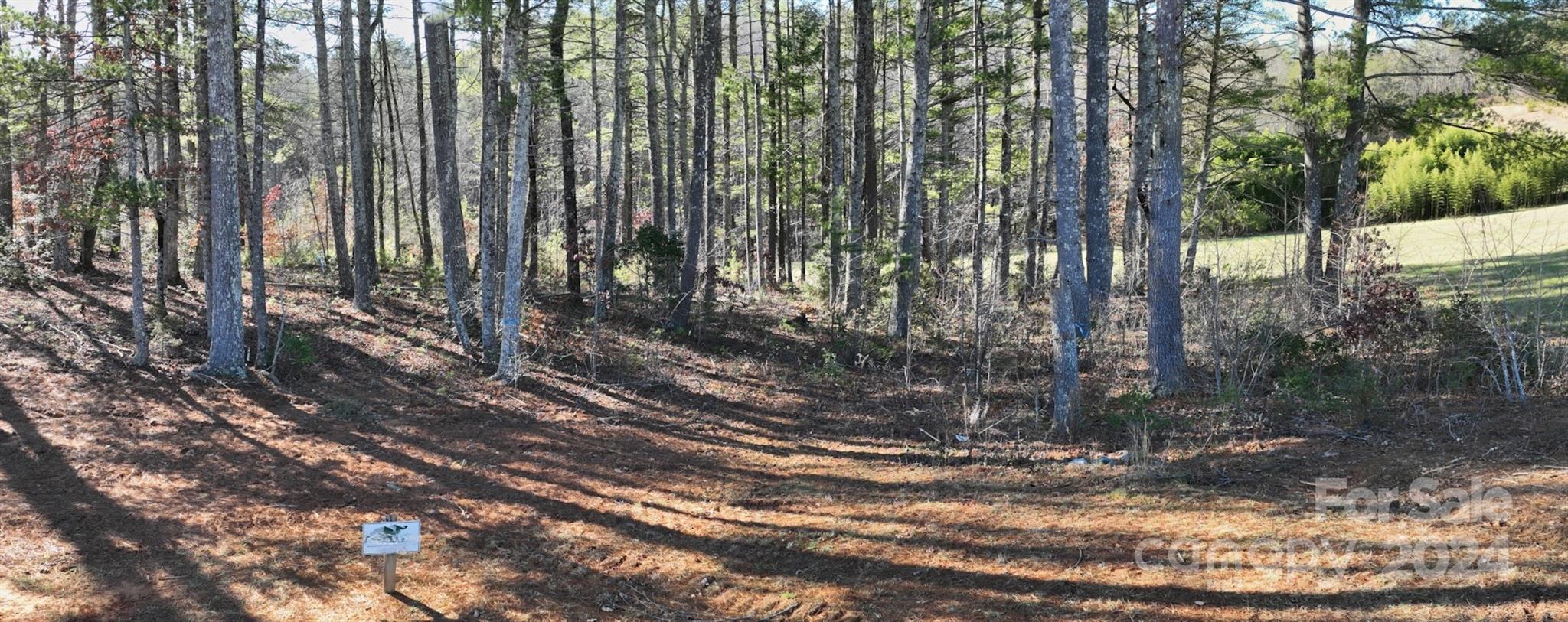 2.81 Acres, 4098 Derbyshire Lane Lot G32 Property Photo 3