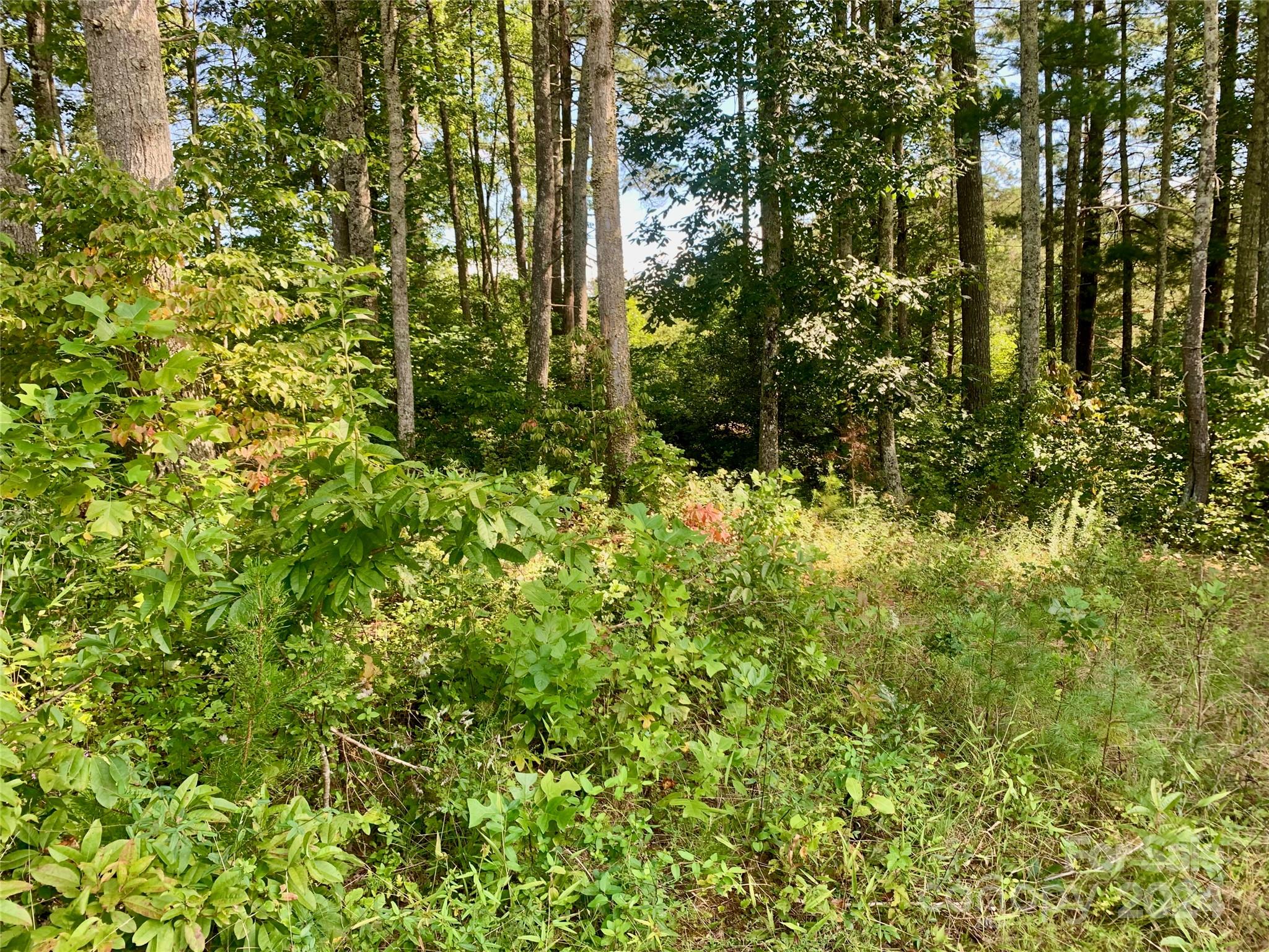 2.81 Acres, 4098 Derbyshire Lane Lot G32 Property Photo 6