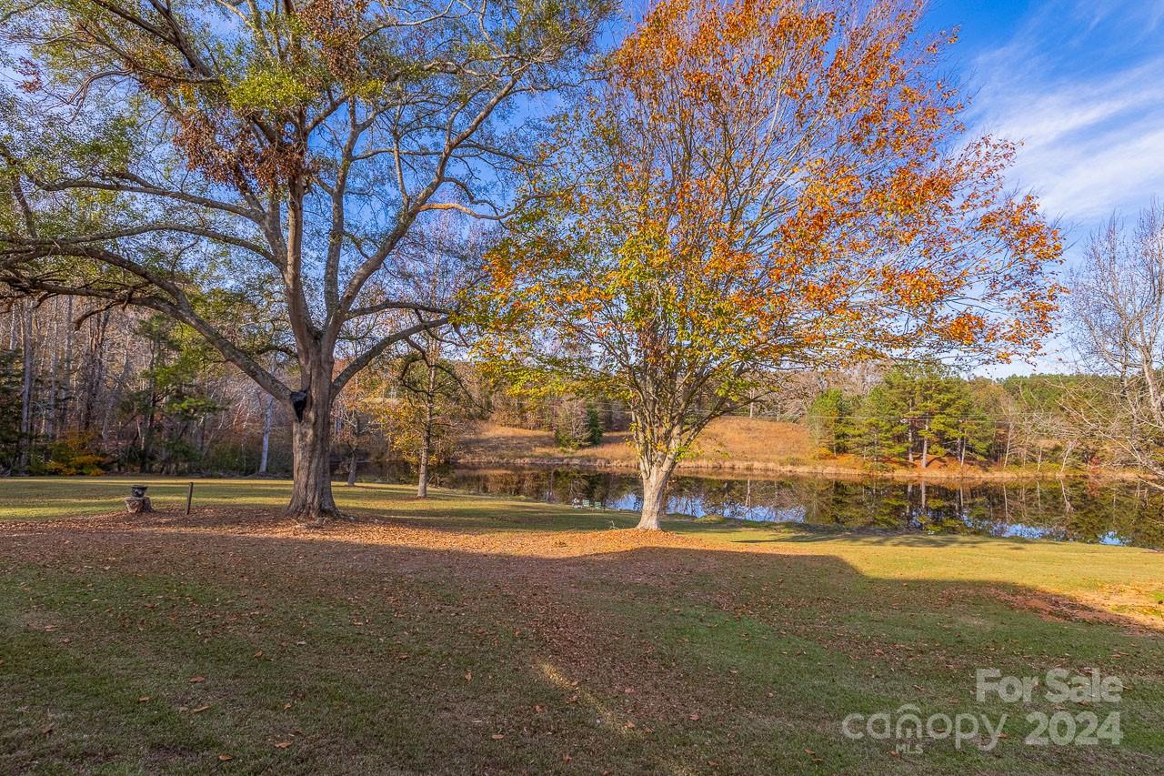 4211 Jonesville Lockhart Highway Property Photo 6