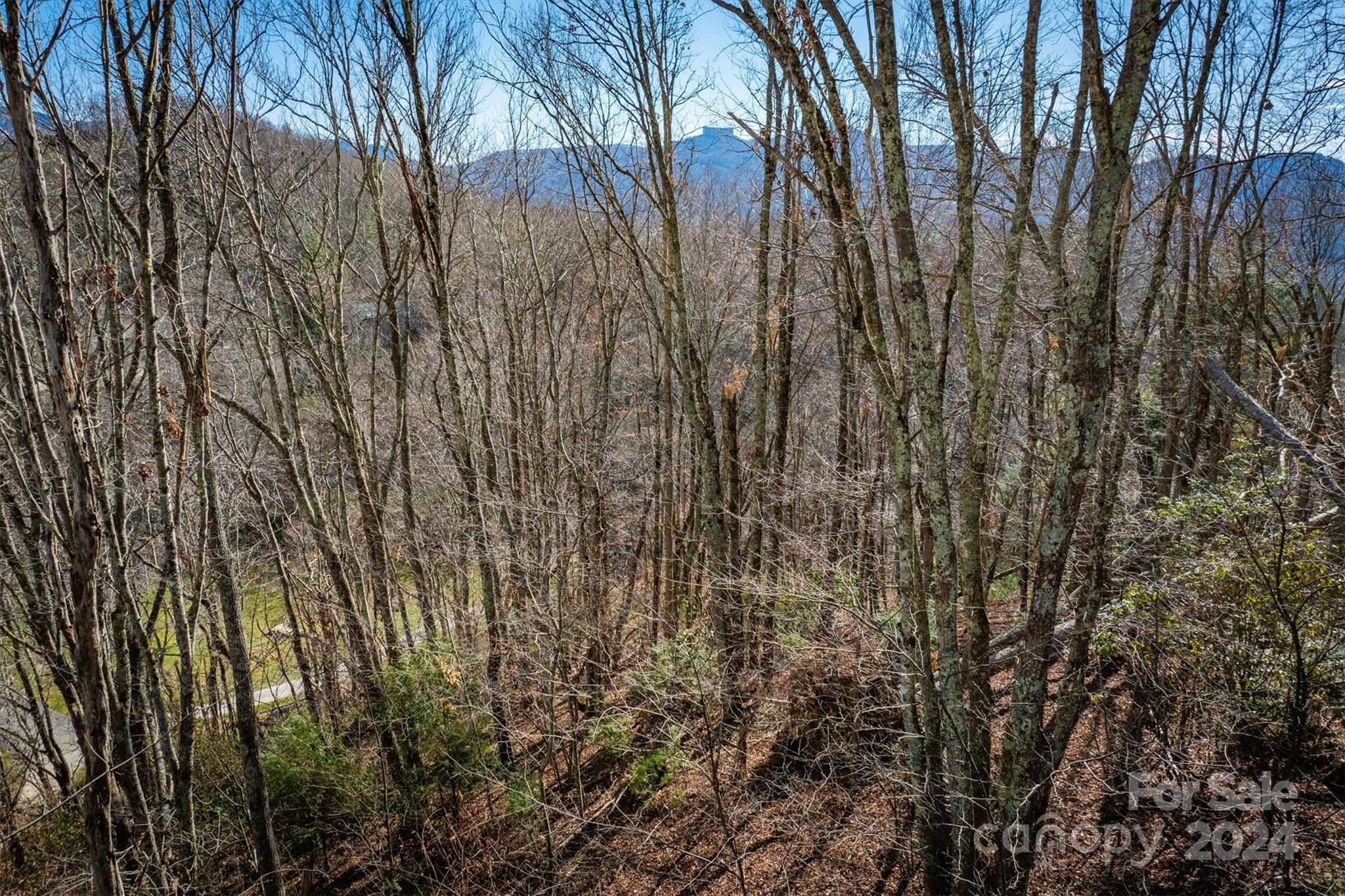 344 & 348 Tumbling Brook Drive Property Photo 9