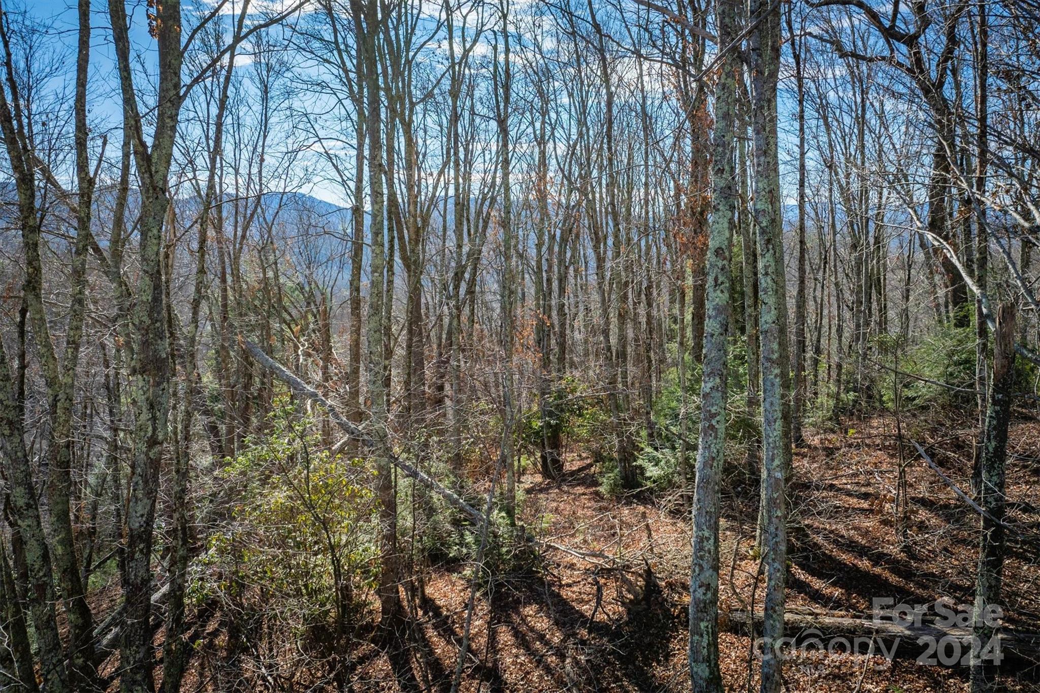 344 & 348 Tumbling Brook Drive Property Photo 12