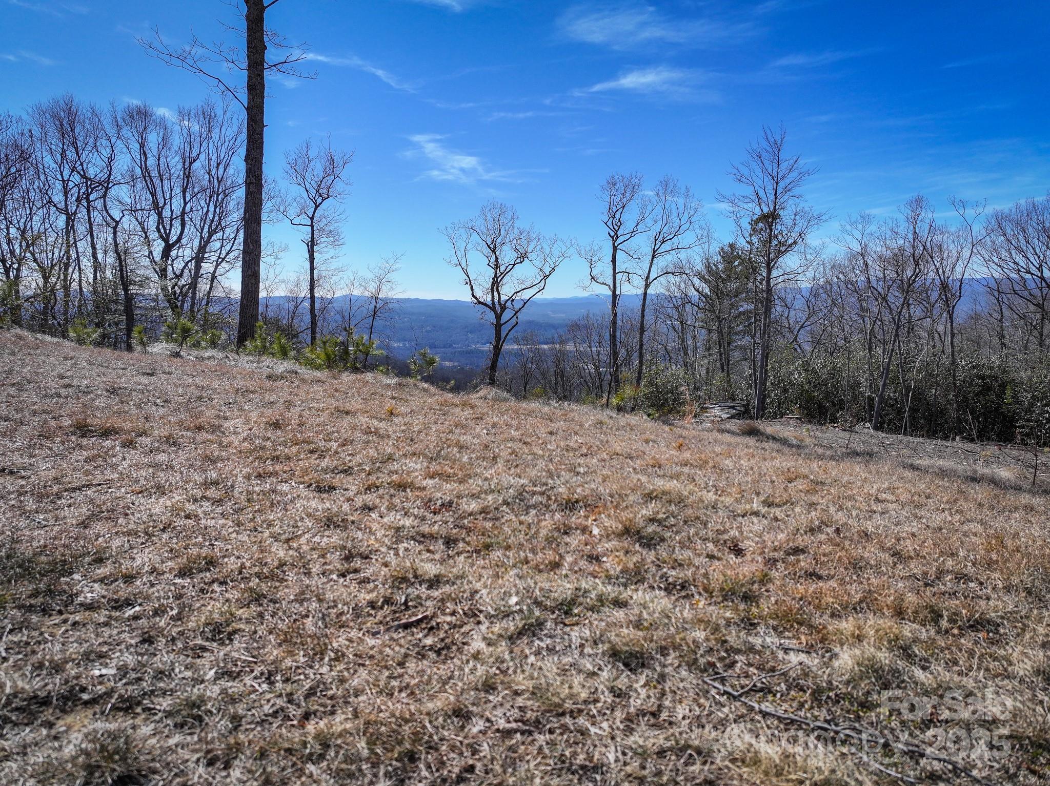 Lot #48 Mountain Grove Lane Property Photo 1