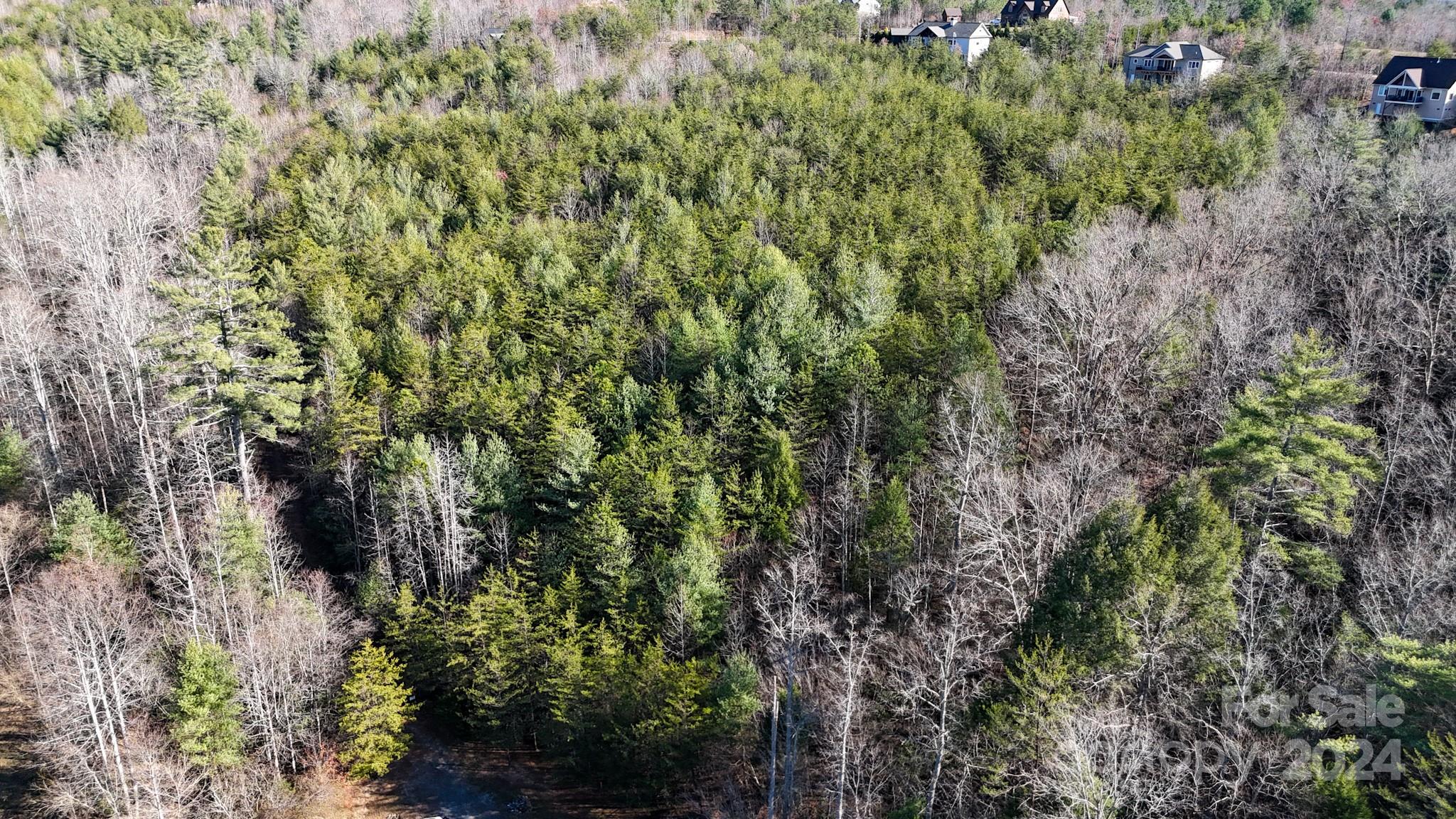 00 Low Country Road 909 Property Photo 10