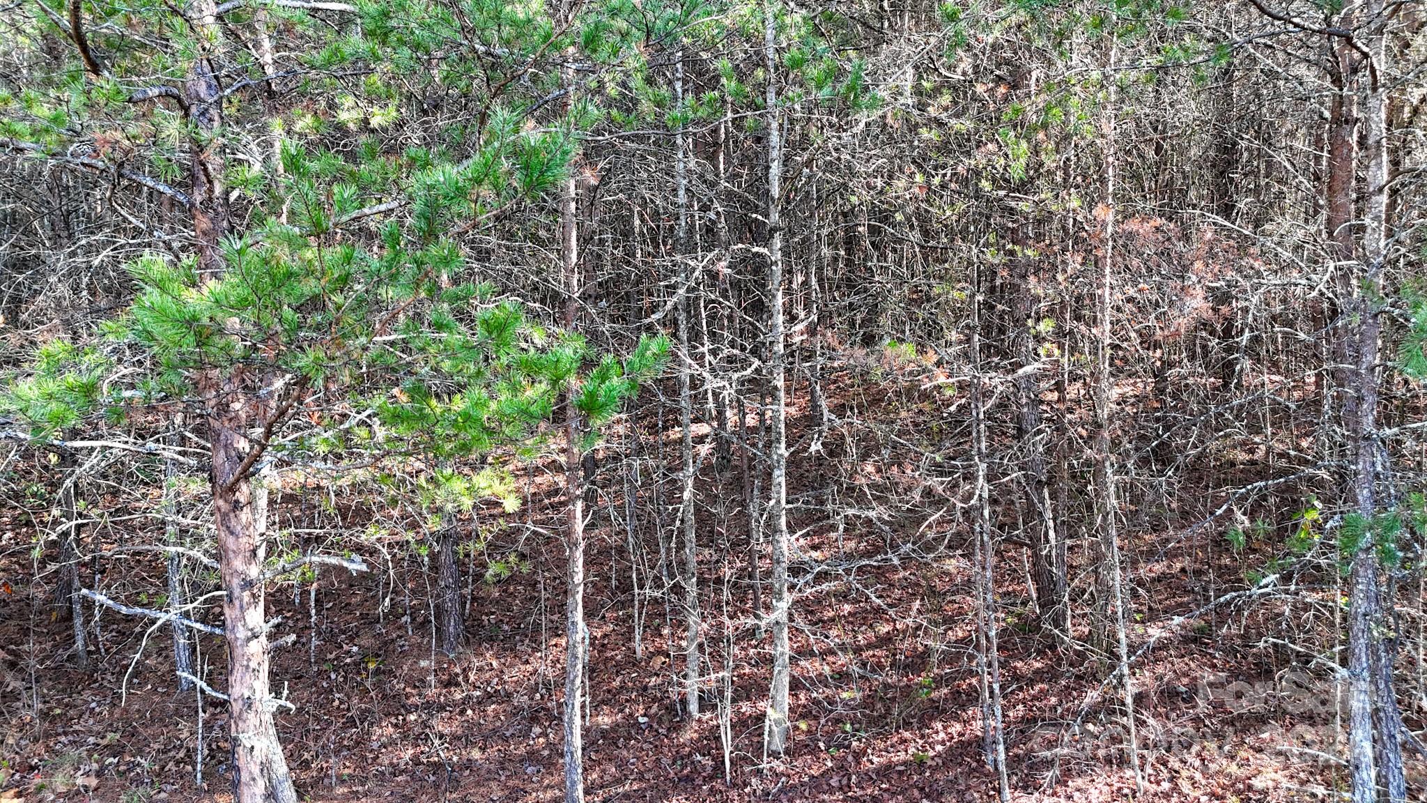 00 Low Country Road 909 Property Photo 11