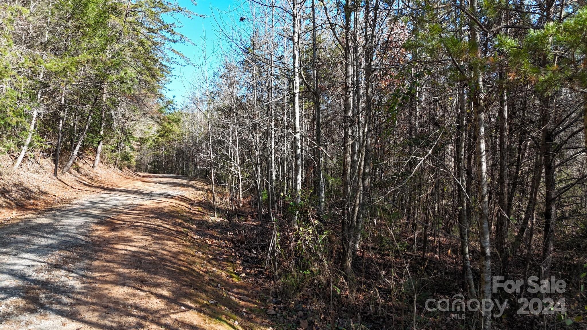 00 Low Country Road 909 Property Photo 12