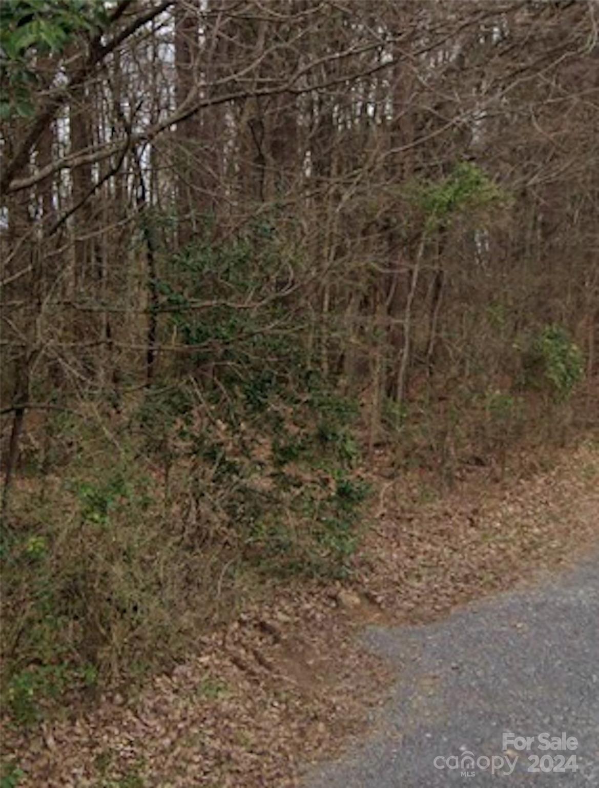 1002 Moorebrook Drive Property Photo 2
