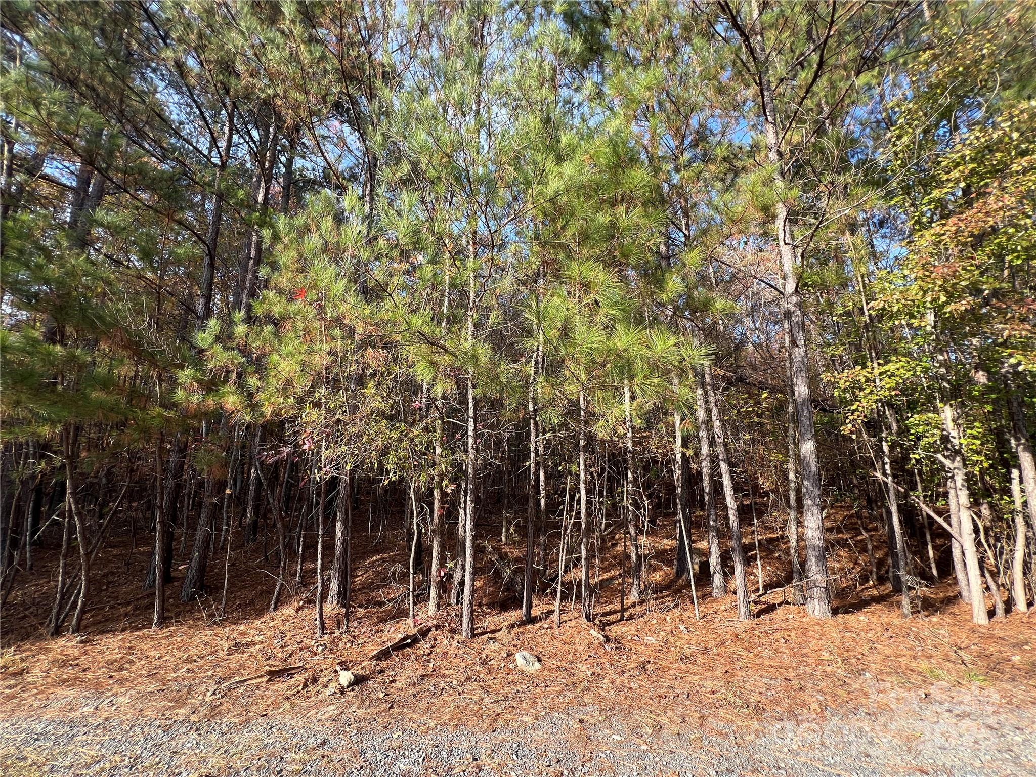 Lot 3 Oak Drive 3 Property Photo 3