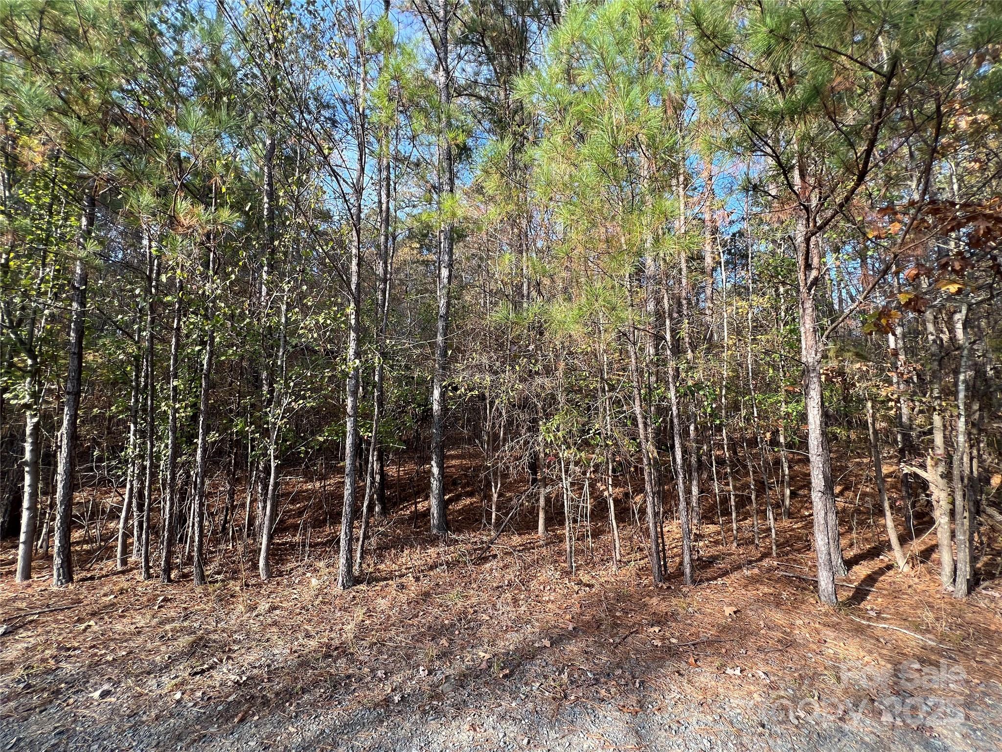 Lot 3 Oak Drive 3 Property Photo 4