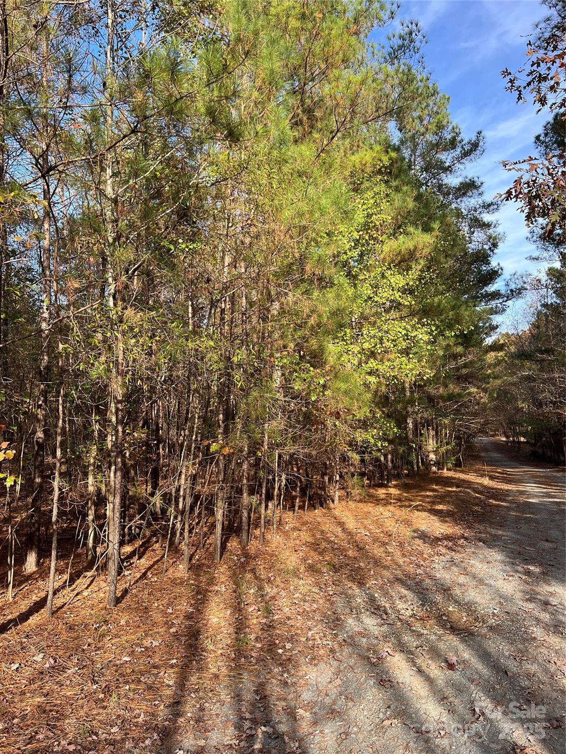Lot 3 Oak Drive 3 Property Photo 5