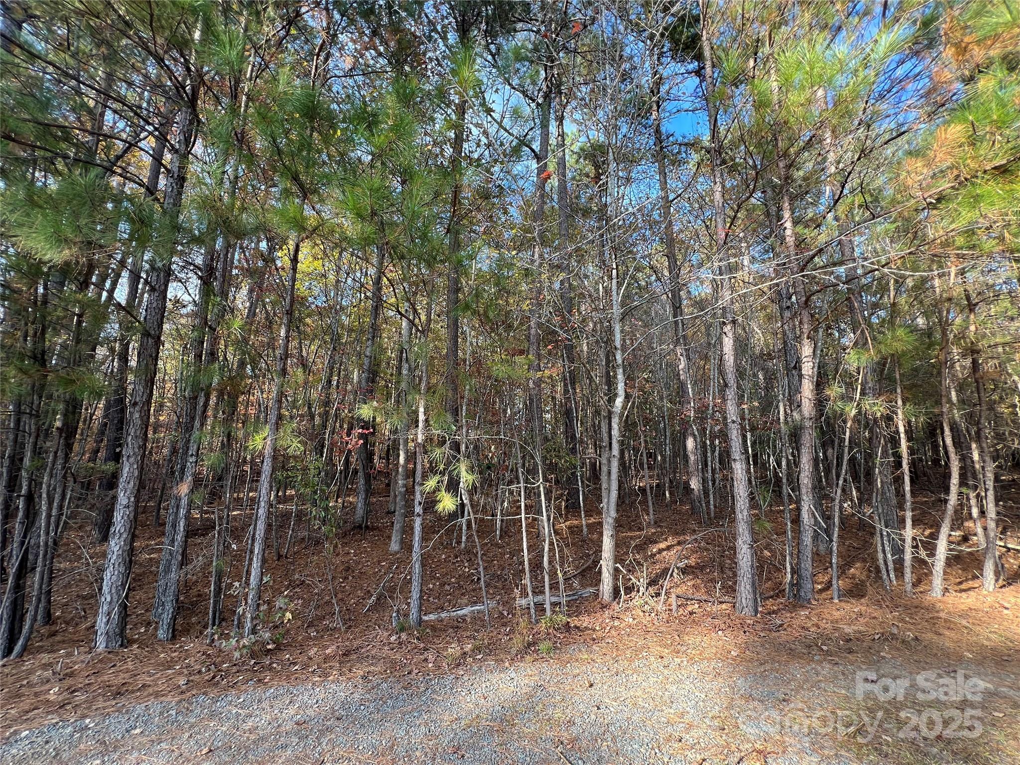 Lot 3 Oak Drive 3 Property Photo 6
