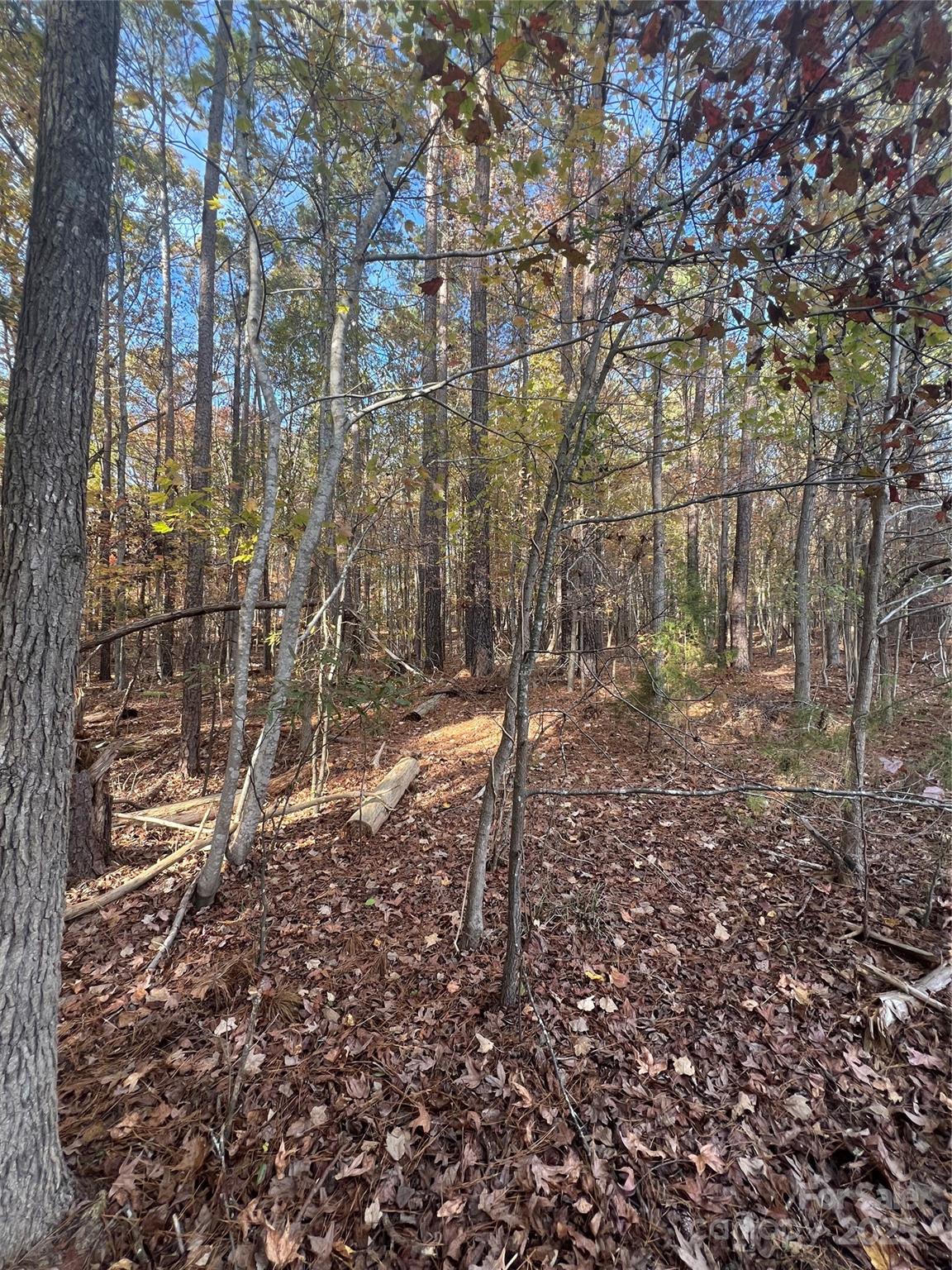 Lot 3 Oak Drive 3 Property Photo 7