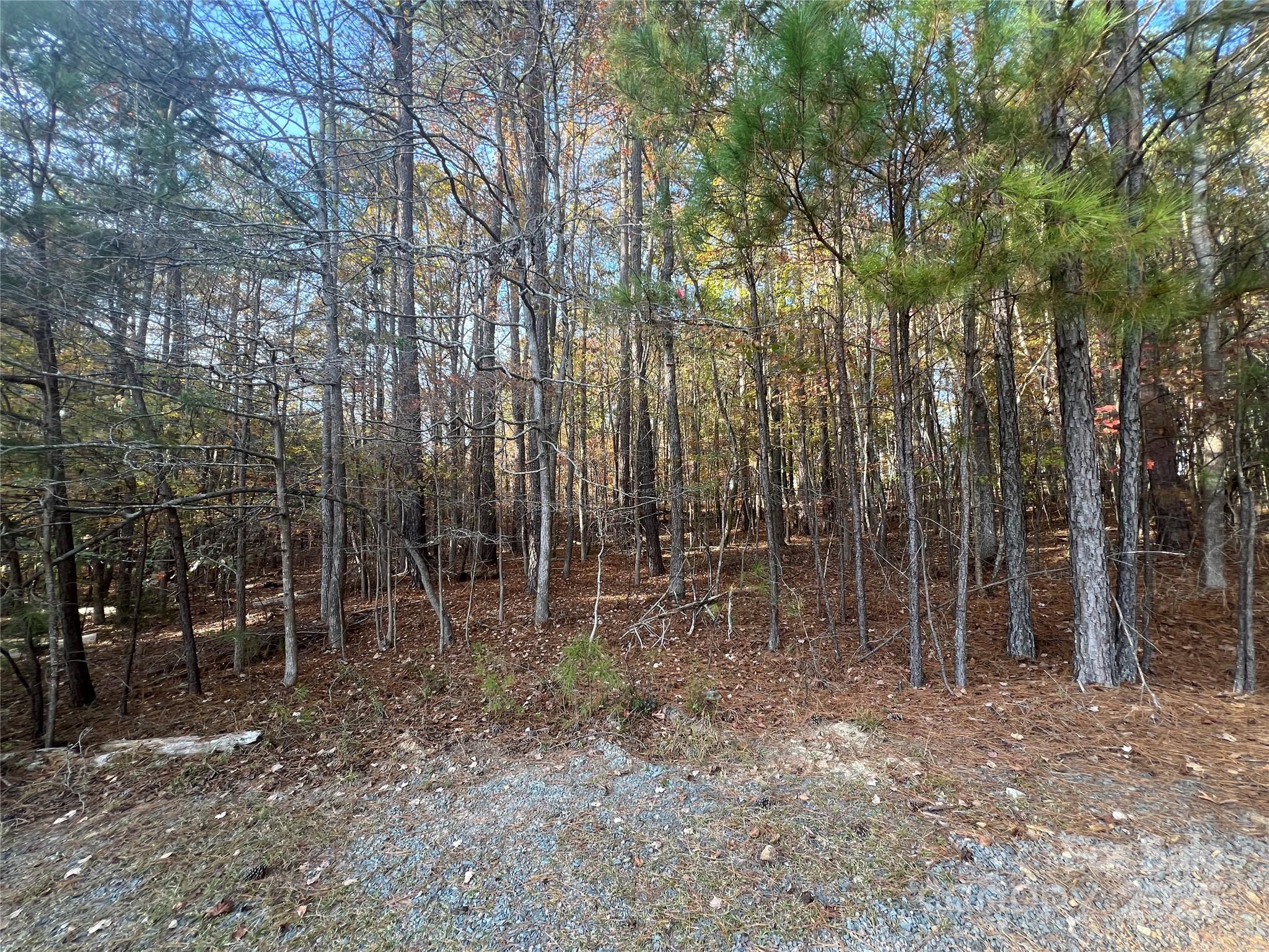 Lot 3 Oak Drive 3 Property Photo 8