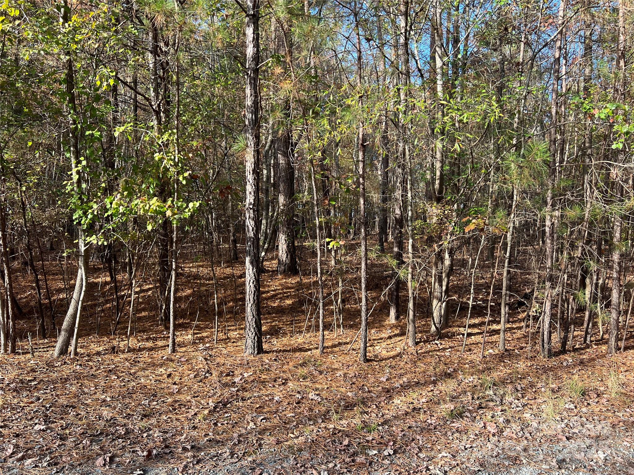 Lot 3 Oak Drive 3 Property Photo 9