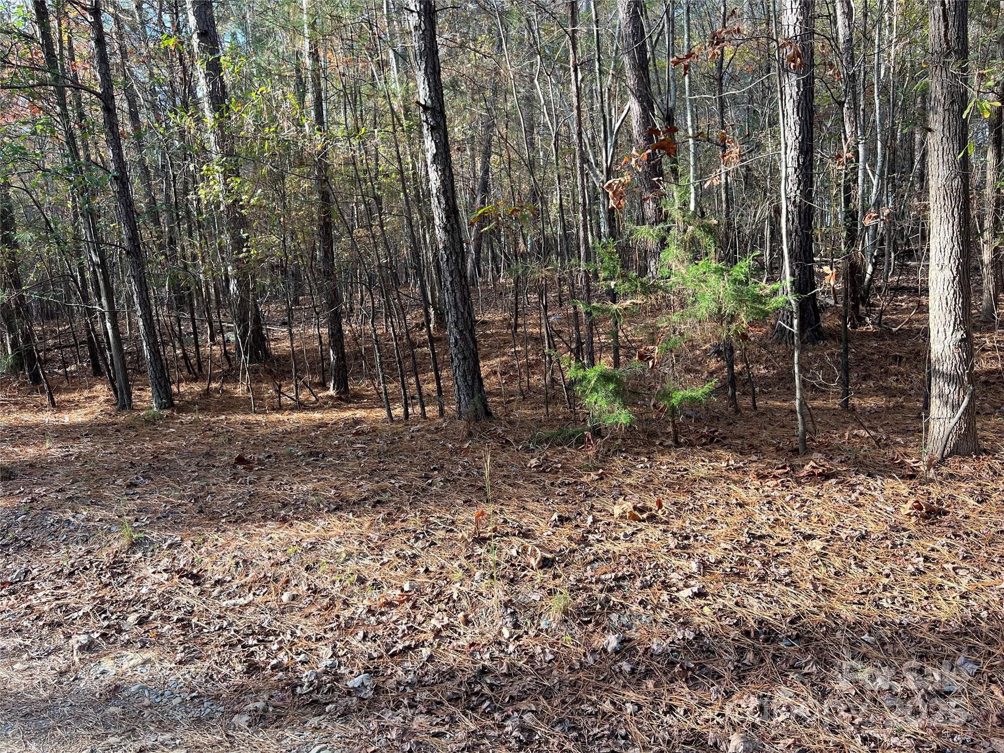Lot 3 Oak Drive 3 Property Photo 10