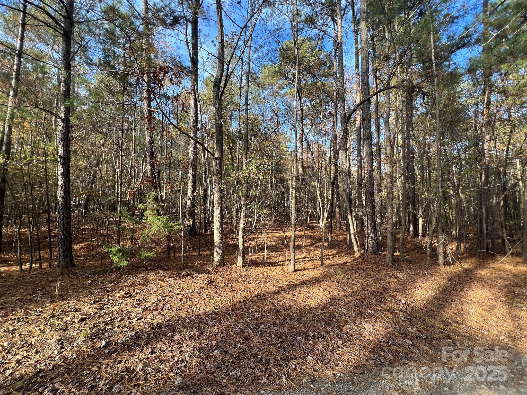 Lot 3 Oak Drive 3 Property Photo 11
