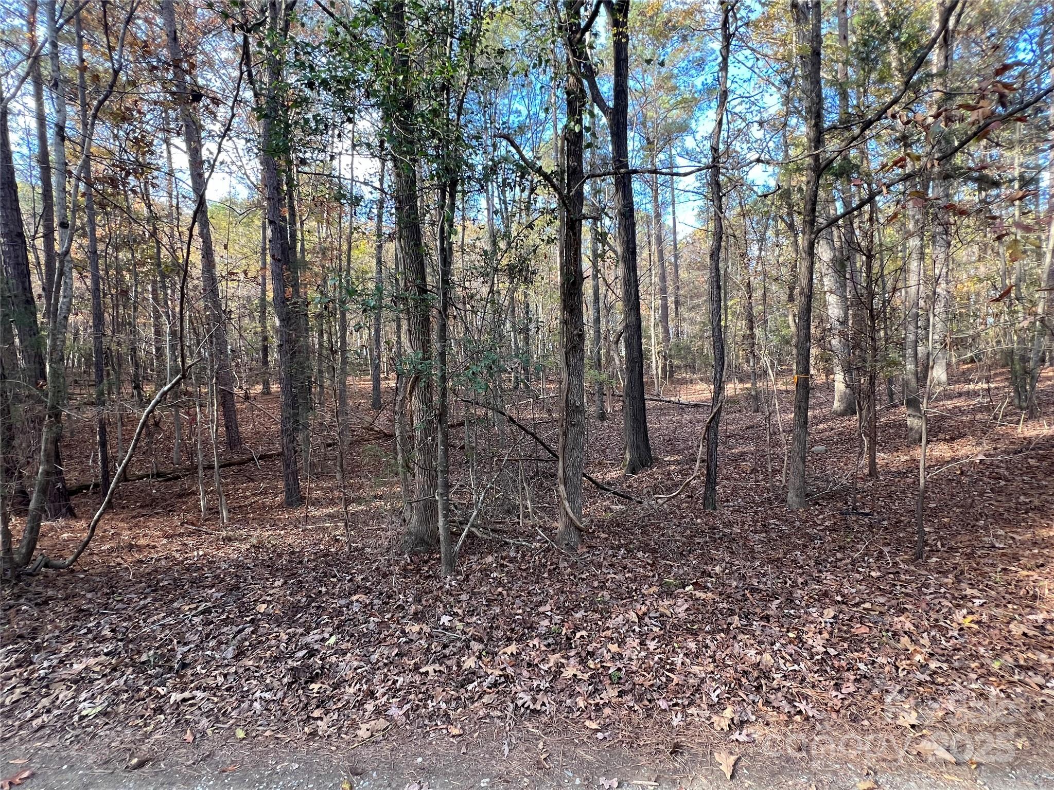 Lot 3 Oak Drive 3 Property Photo 15