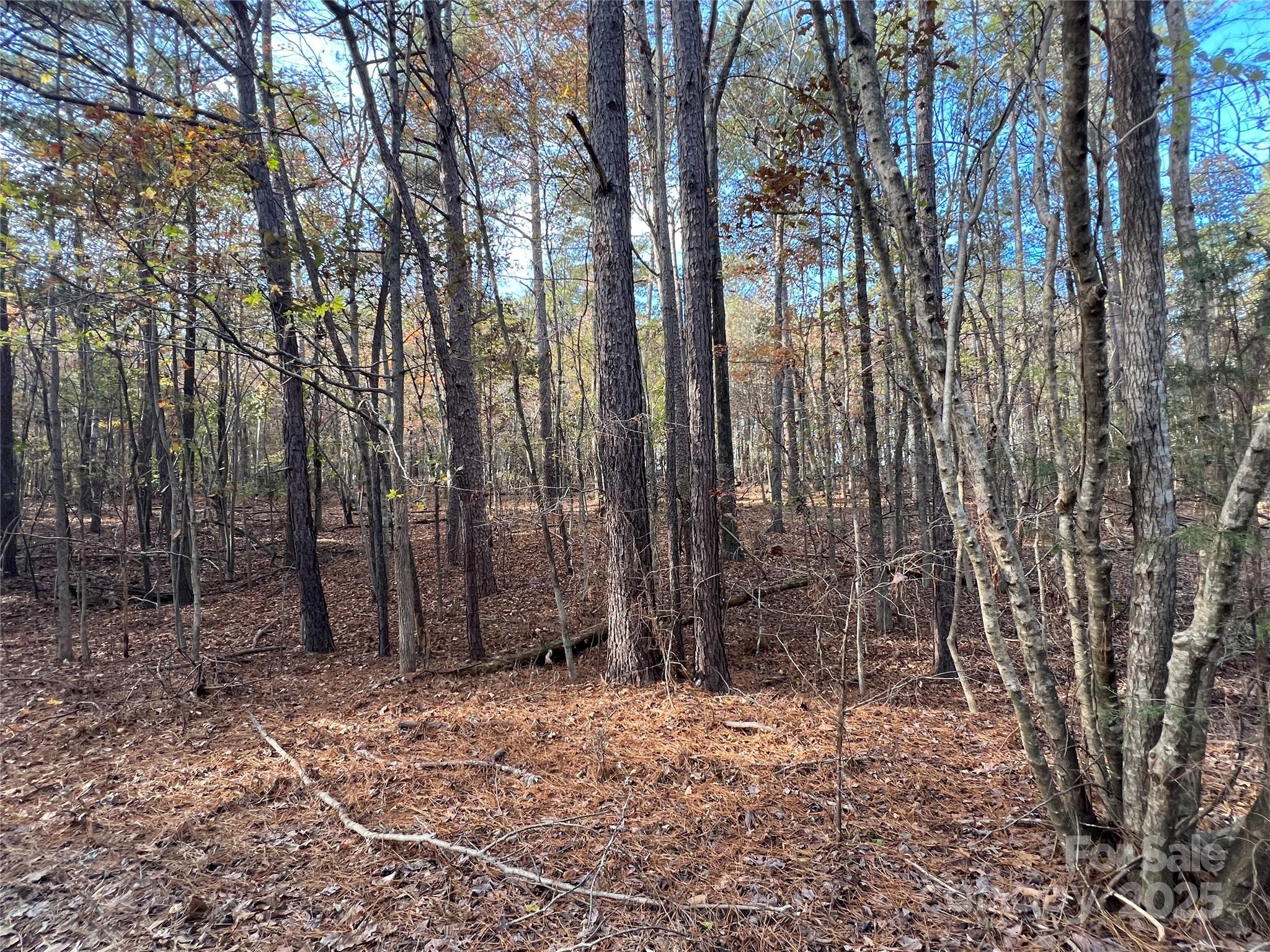Lot 3 Oak Drive 3 Property Photo 20