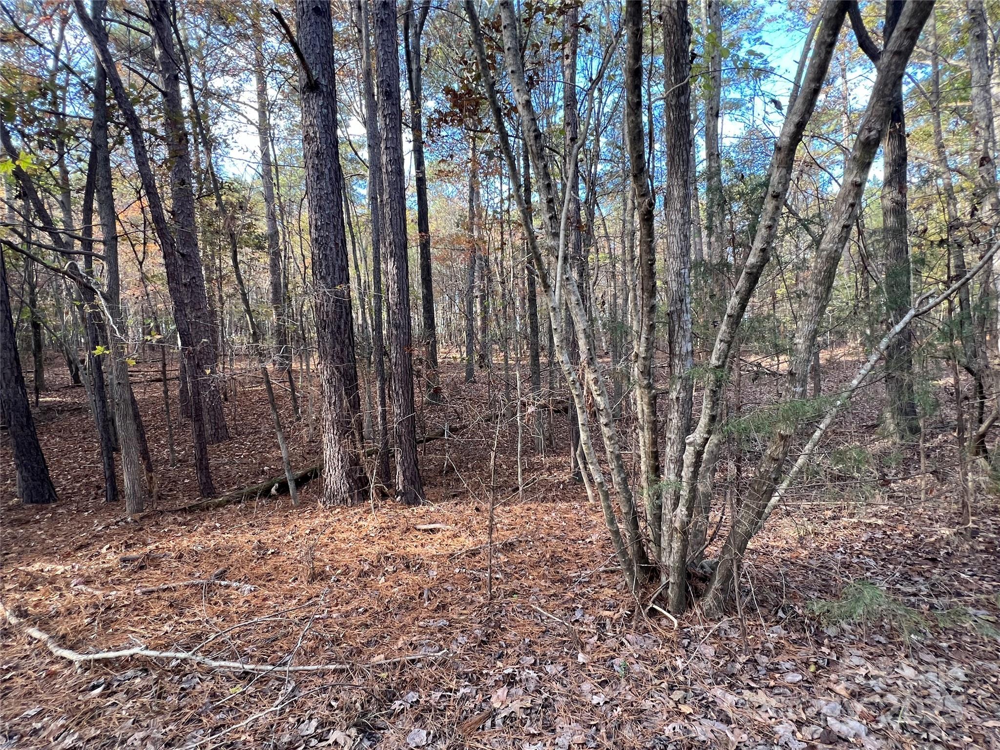 Lot 3 Oak Drive 3 Property Photo 21