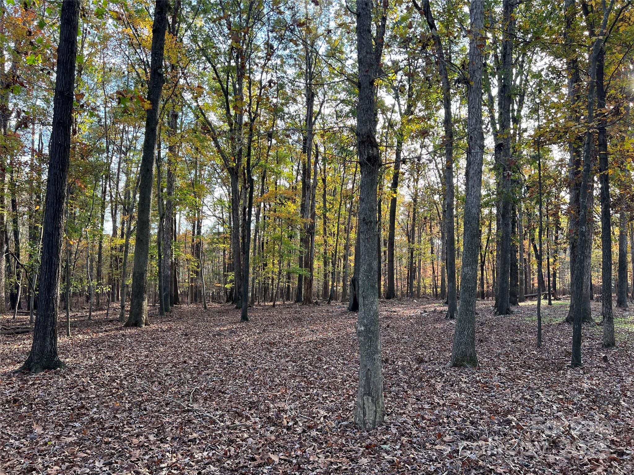Lot 3 Oak Drive 3 Property Photo 25