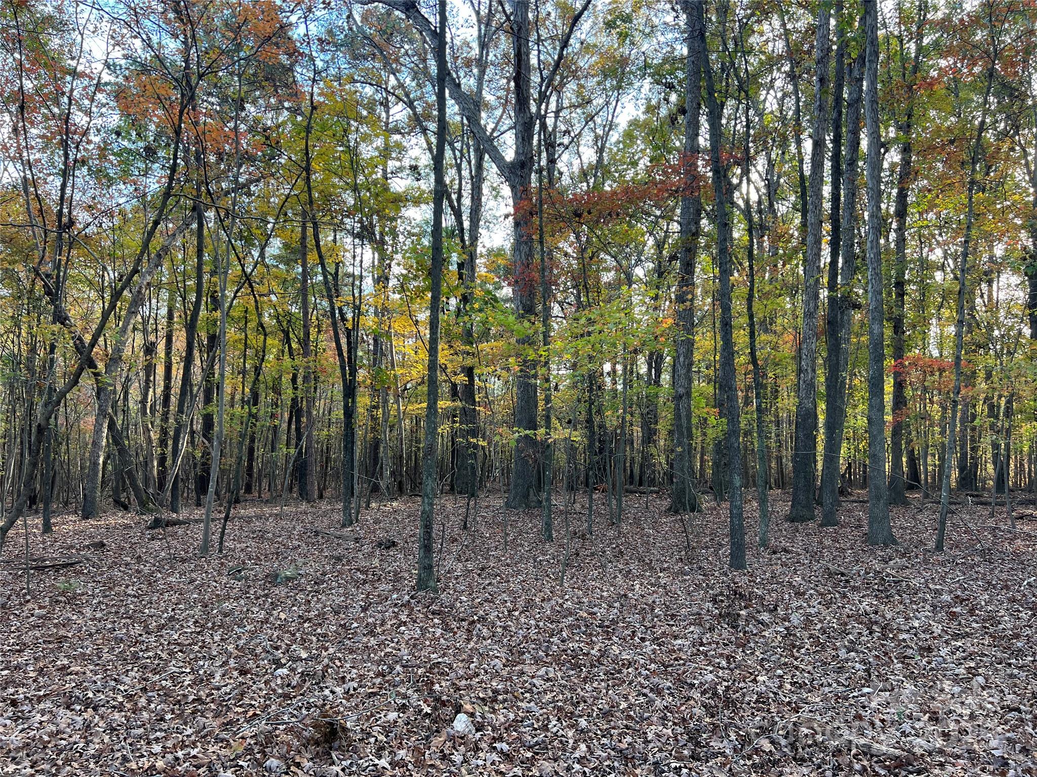 Lot 3 Oak Drive 3 Property Photo 26