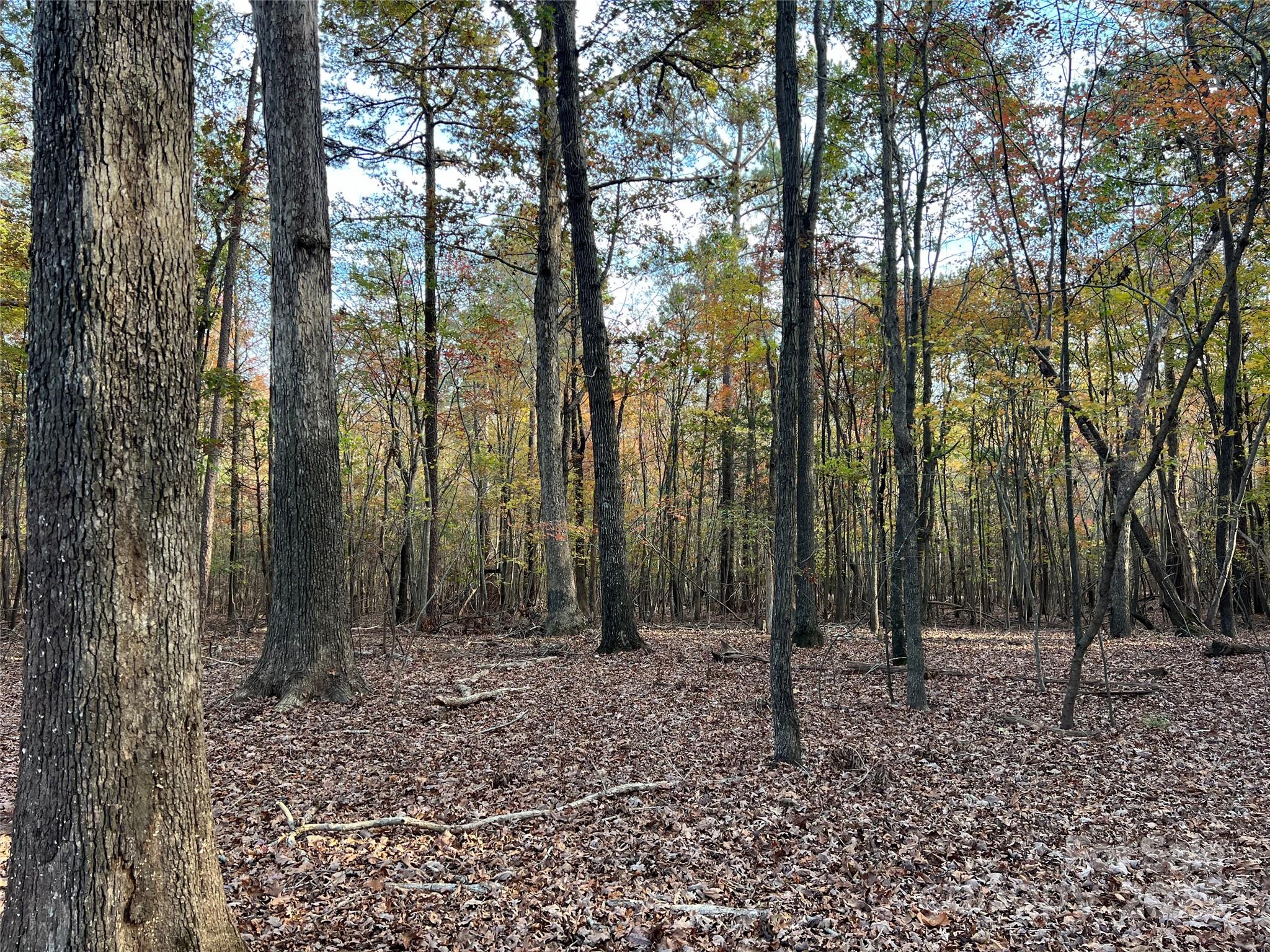 Lot 3 Oak Drive 3 Property Photo 27
