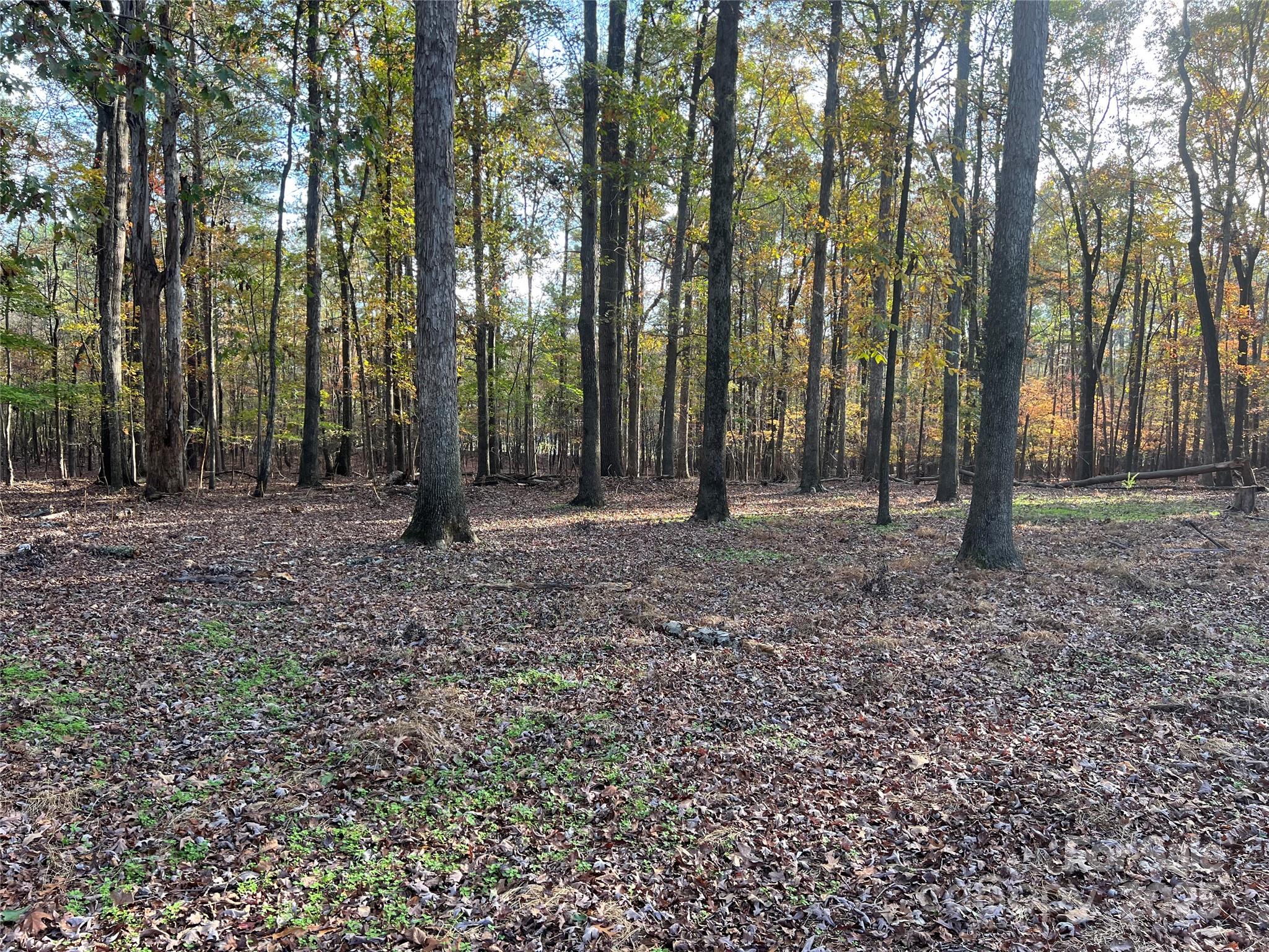 Lot 3 Oak Drive 3 Property Photo 31