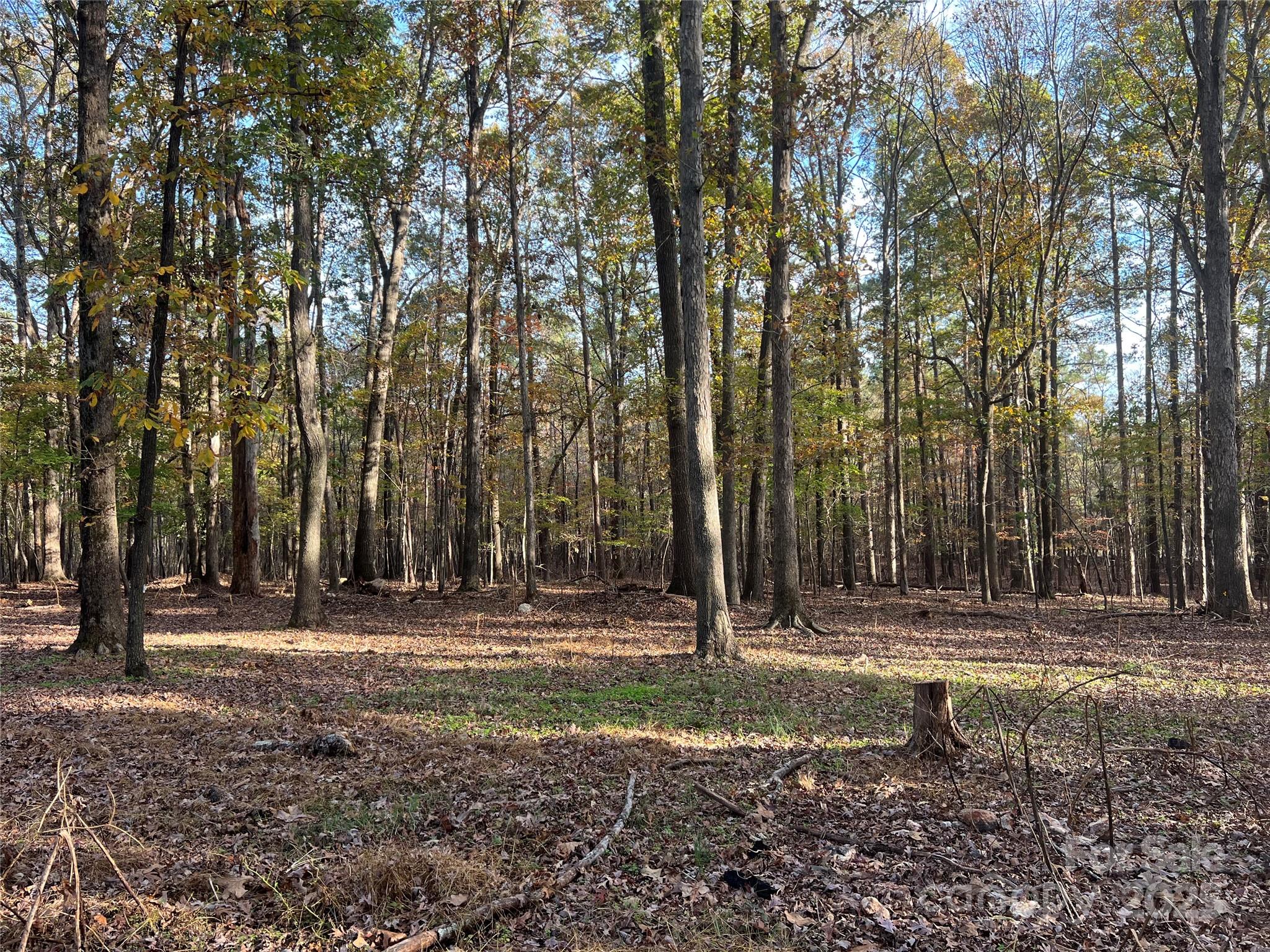 Lot 3 Oak Drive 3 Property Photo 32