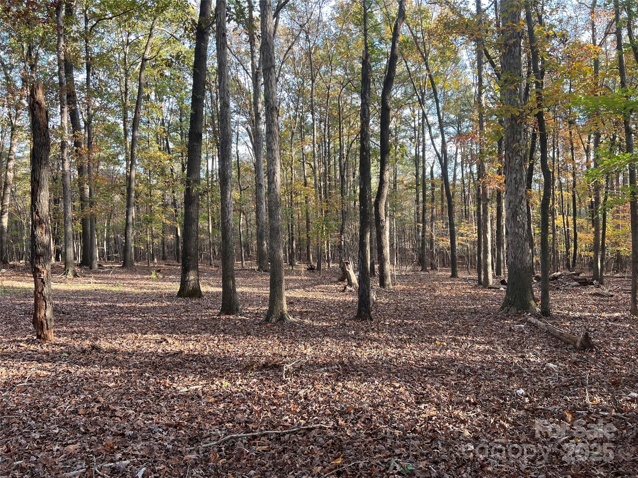 Lot 3 Oak Drive 3 Property Photo 34