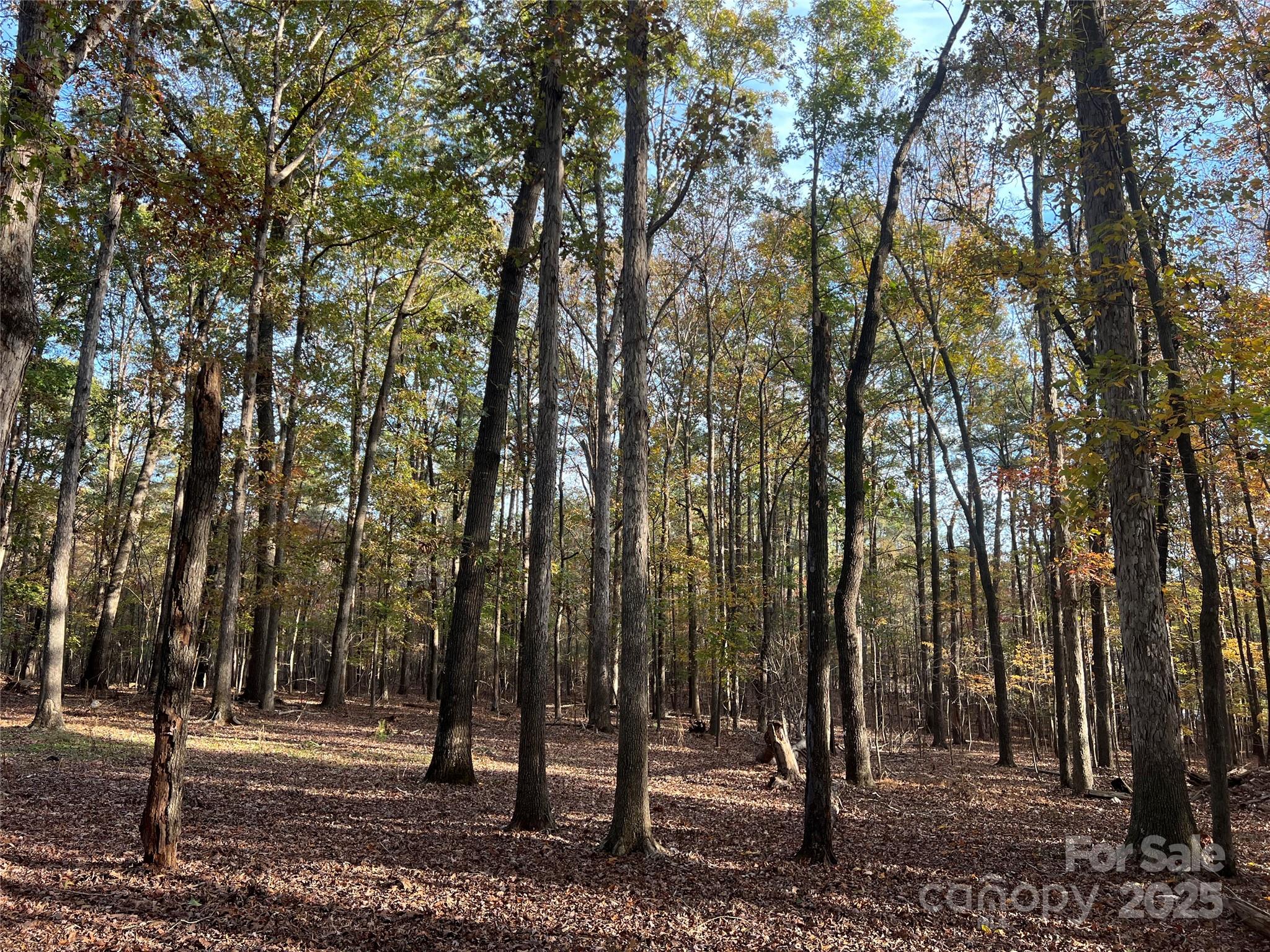 Lot 3 Oak Drive 3 Property Photo 35