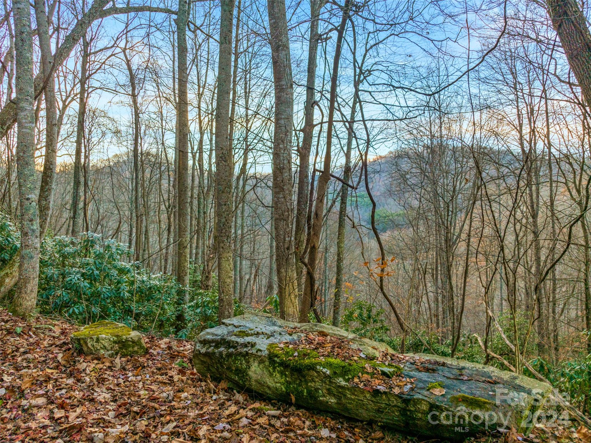 370 Cabin Creek Trail Property Photo