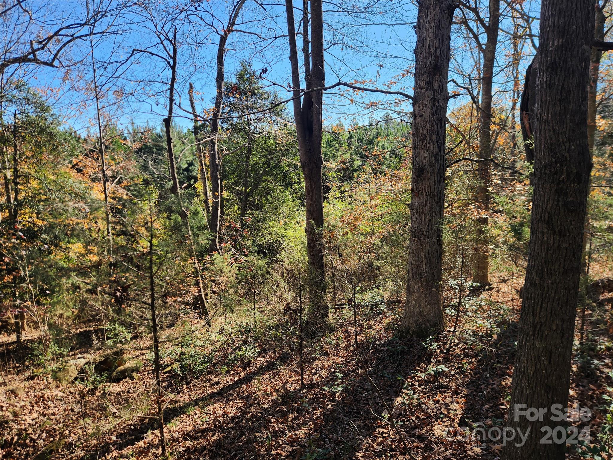 451 Low Bridge Road Property Photo 4