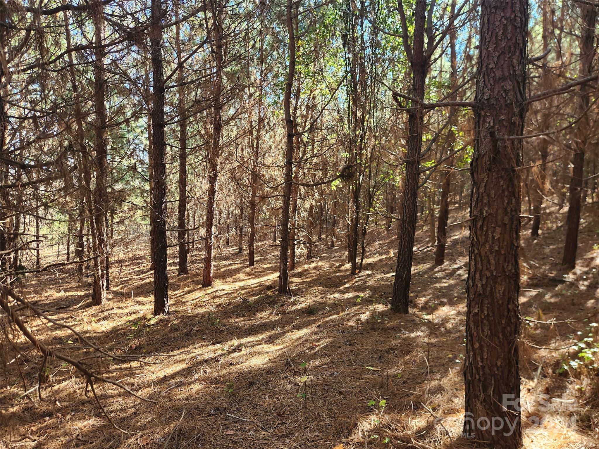 451 Low Bridge Road Property Photo 7